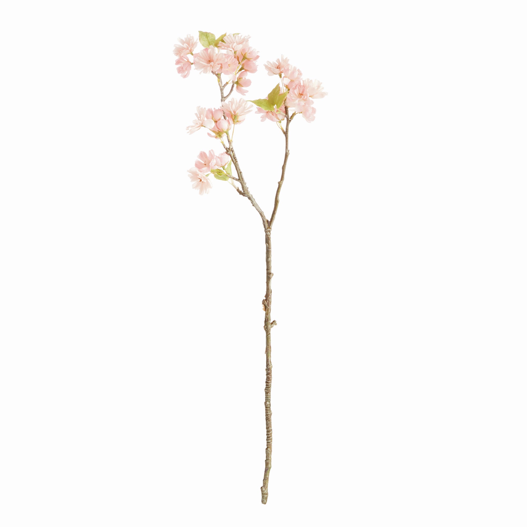 Dual Cherry Blossom Stems - Set of 6