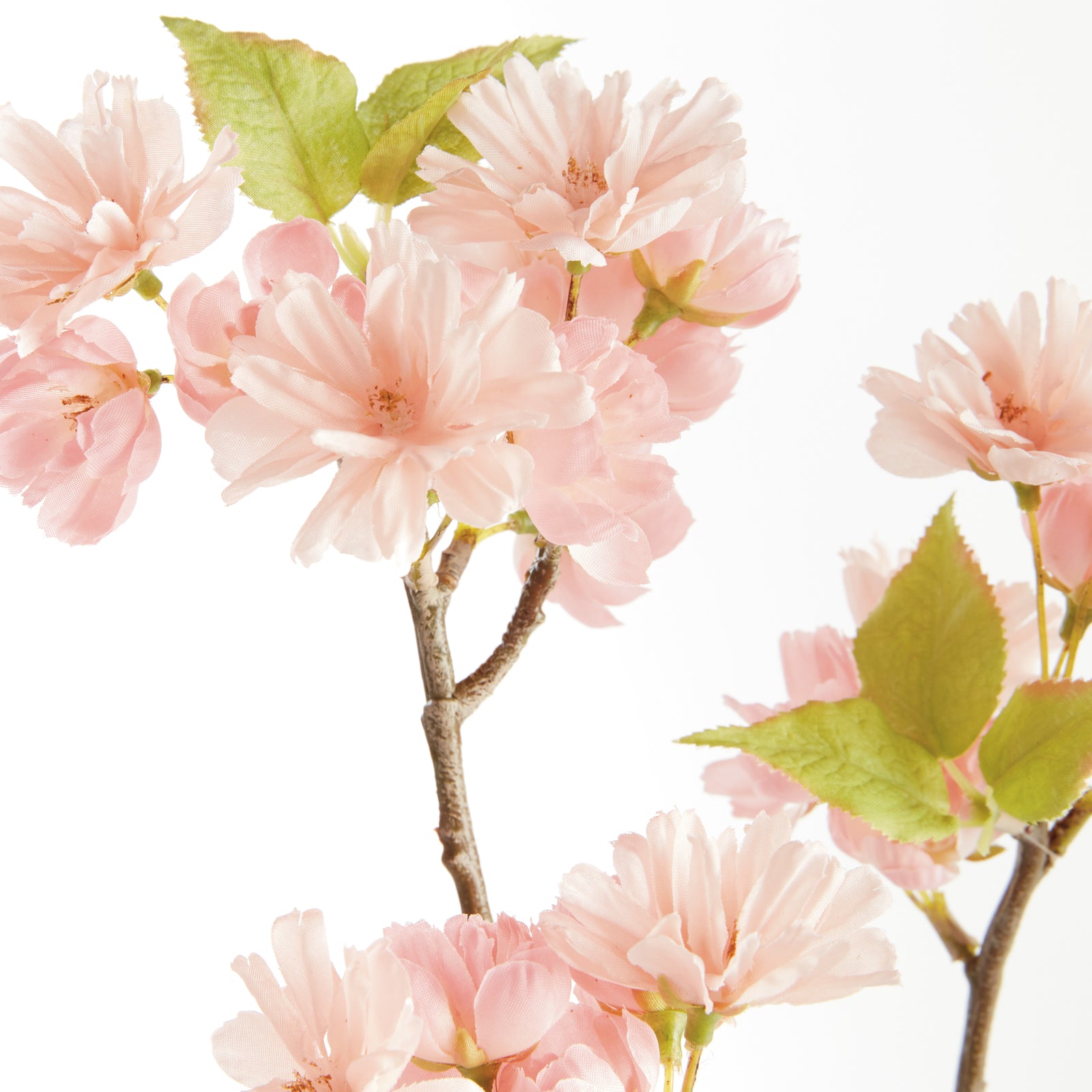 Dual Cherry Blossom Stems - Set of 6
