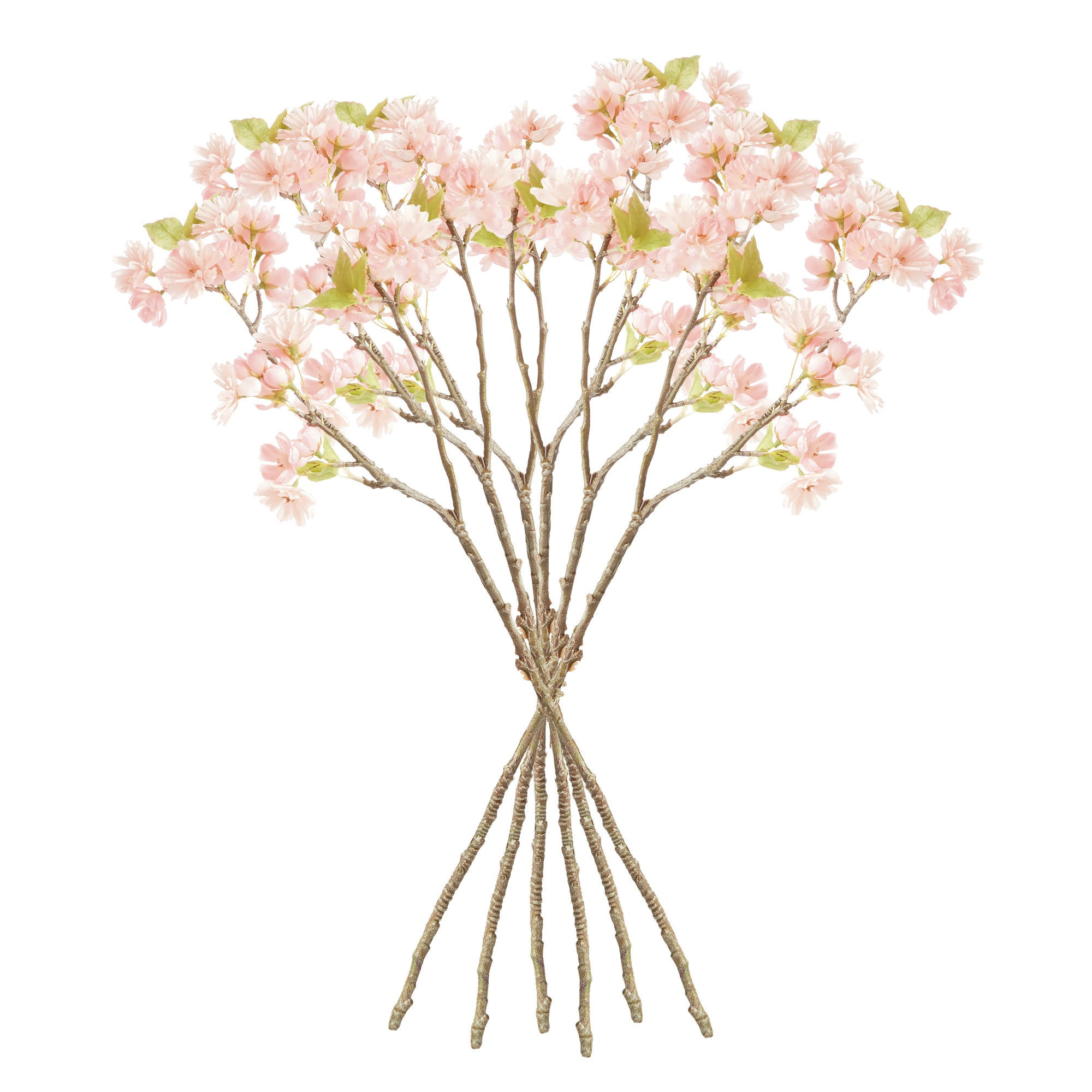 Dual Cherry Blossom Stems - Set of 6