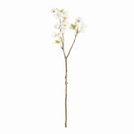 Dual Cherry Blossom Stems - Set of 6