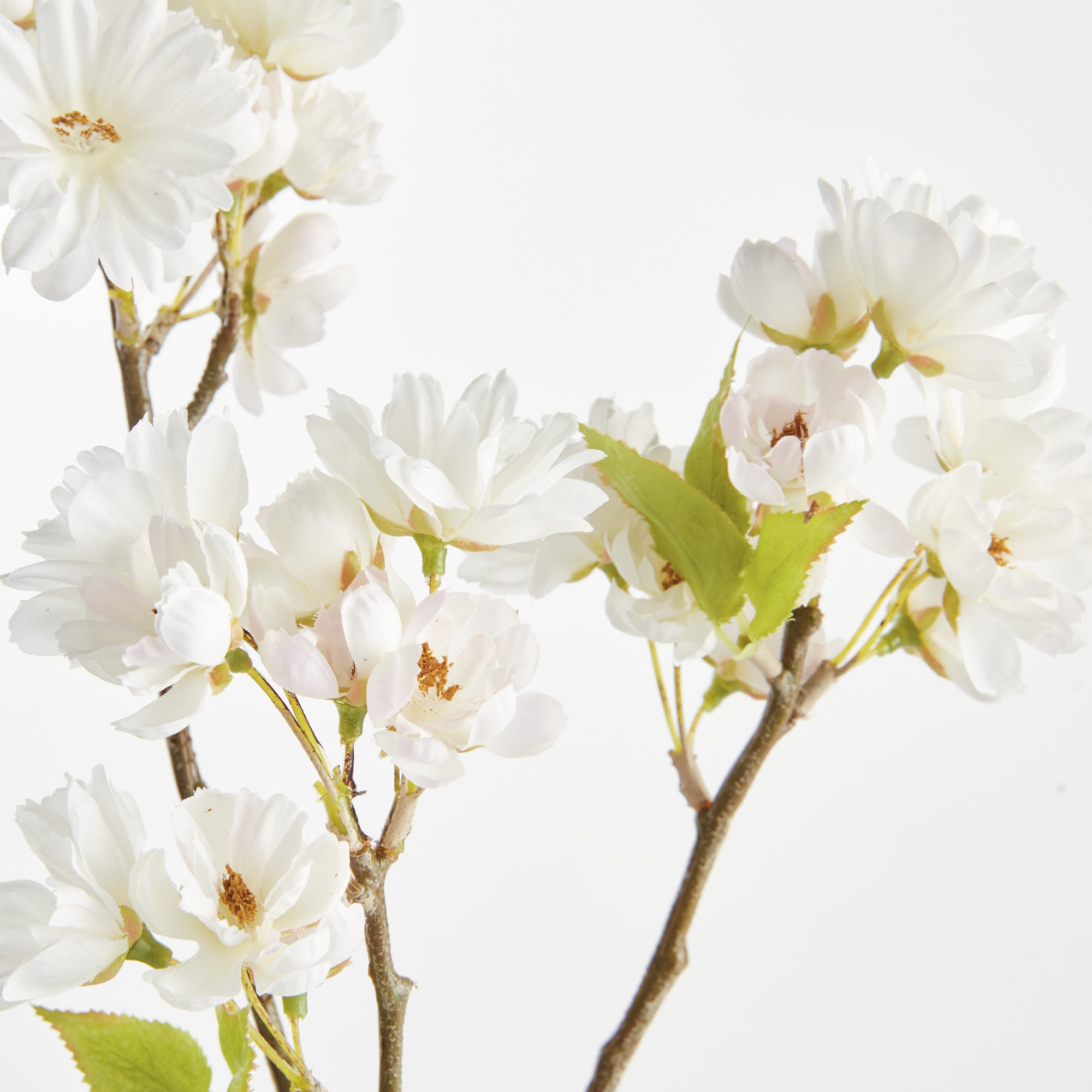 Dual Cherry Blossom Stems - Set of 6