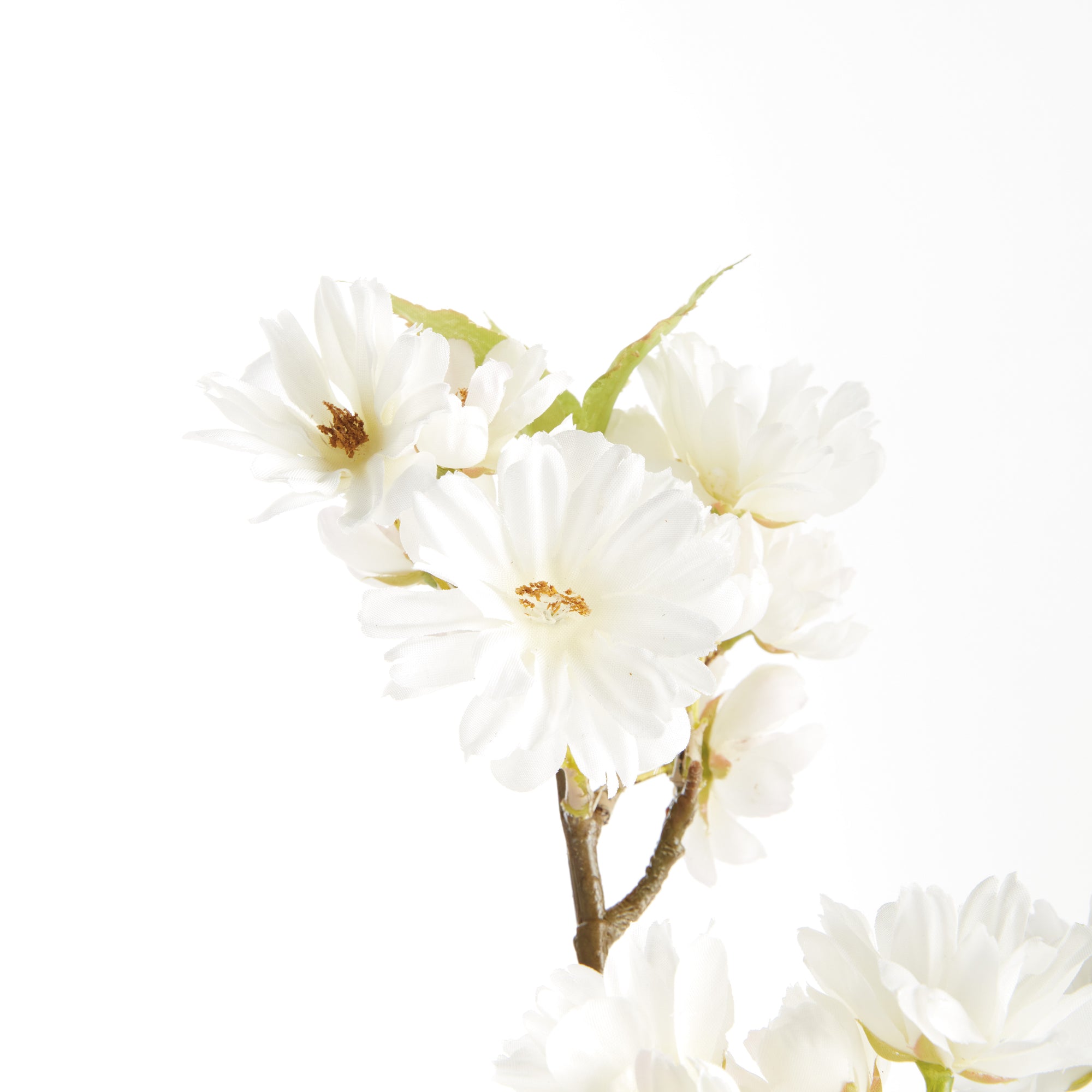 Dual Cherry Blossom Stems - Set of 6