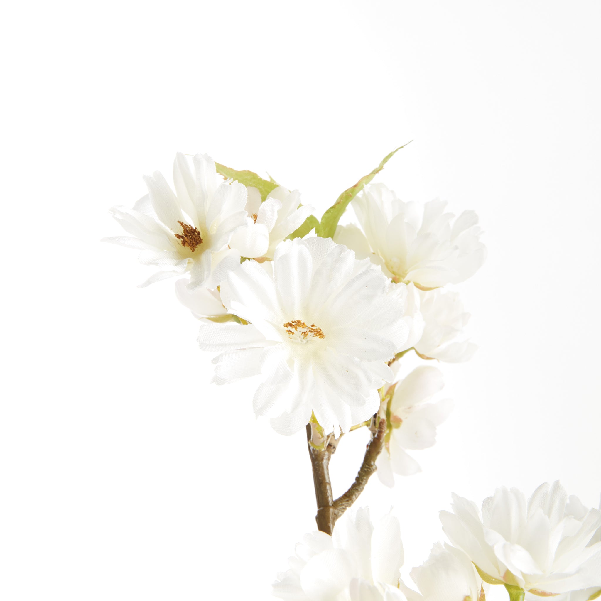 Dual Cherry Blossom Stems - Set of 6