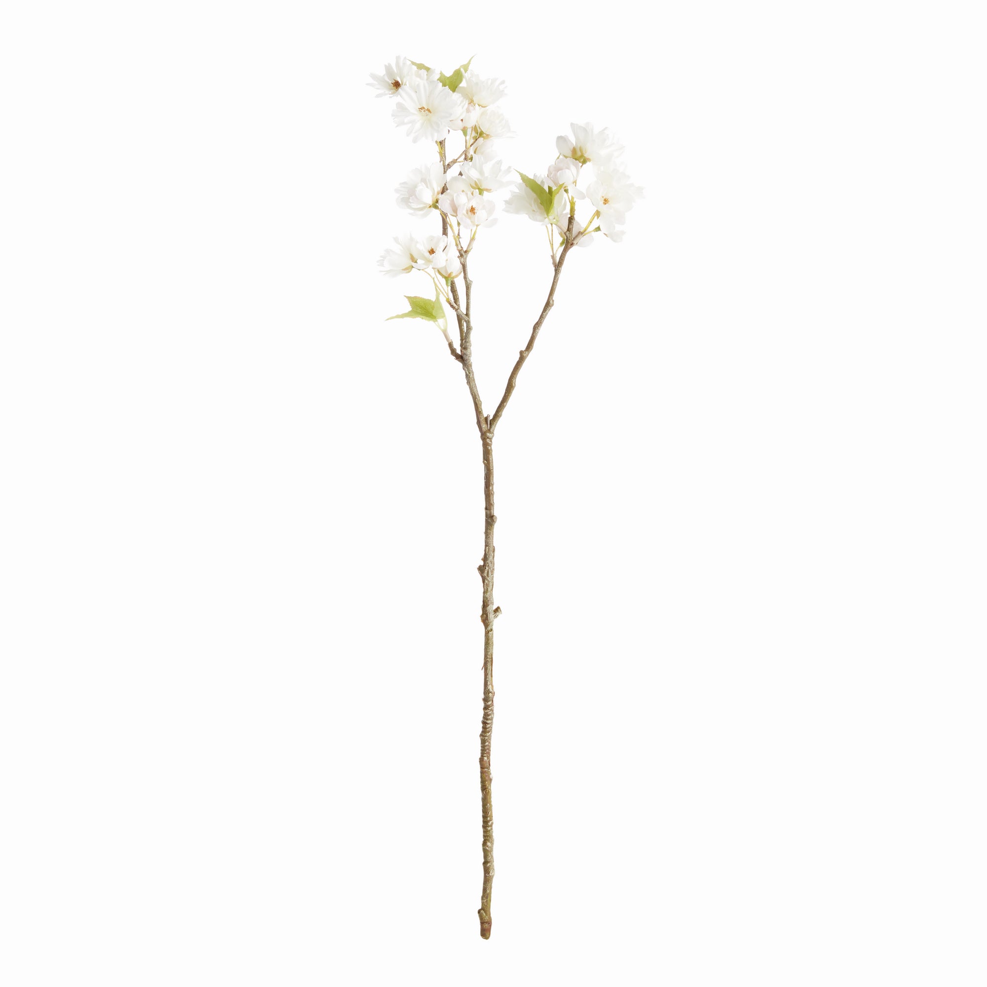 Dual Cherry Blossom Stems - Set of 6