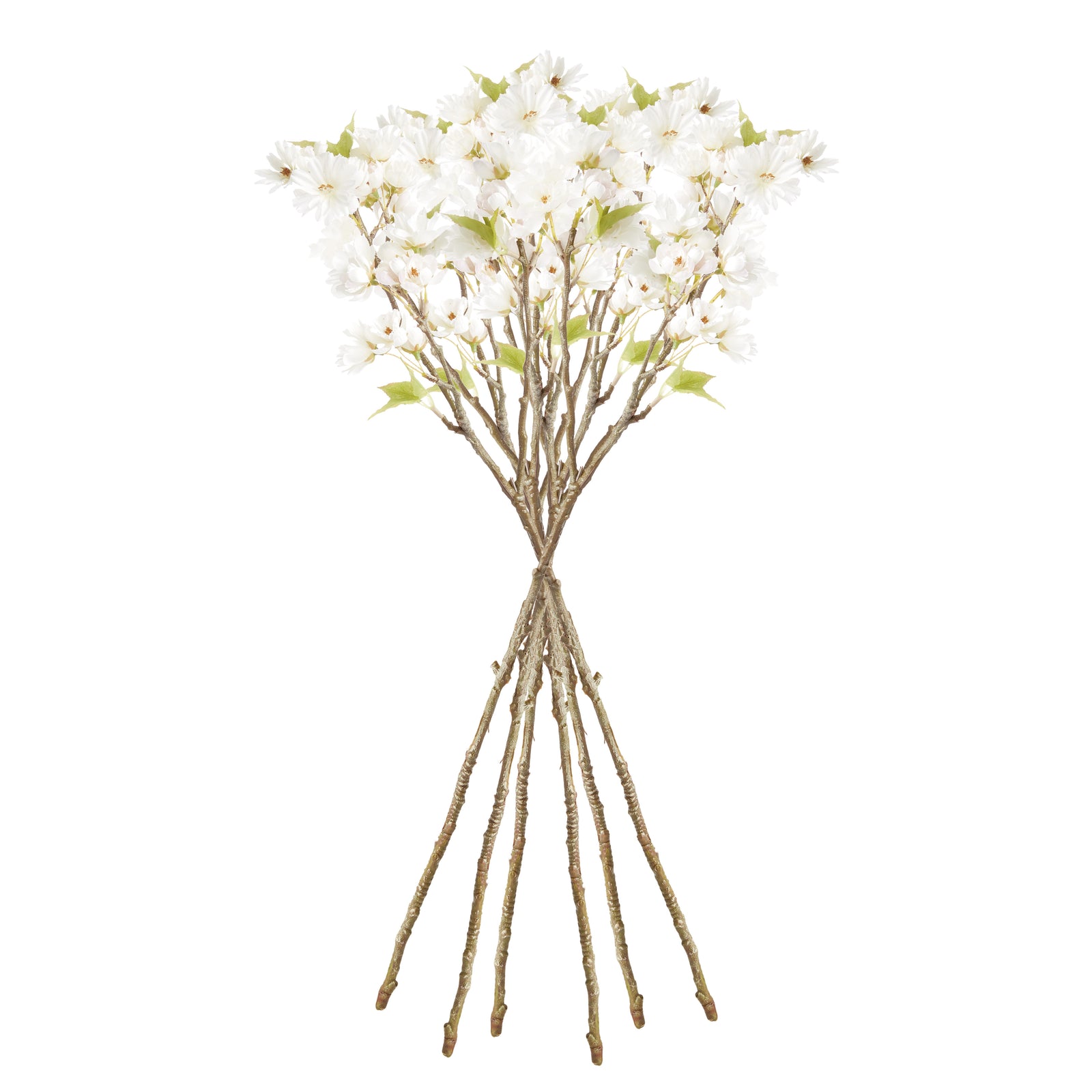 Dual Cherry Blossom Stems - Set of 6