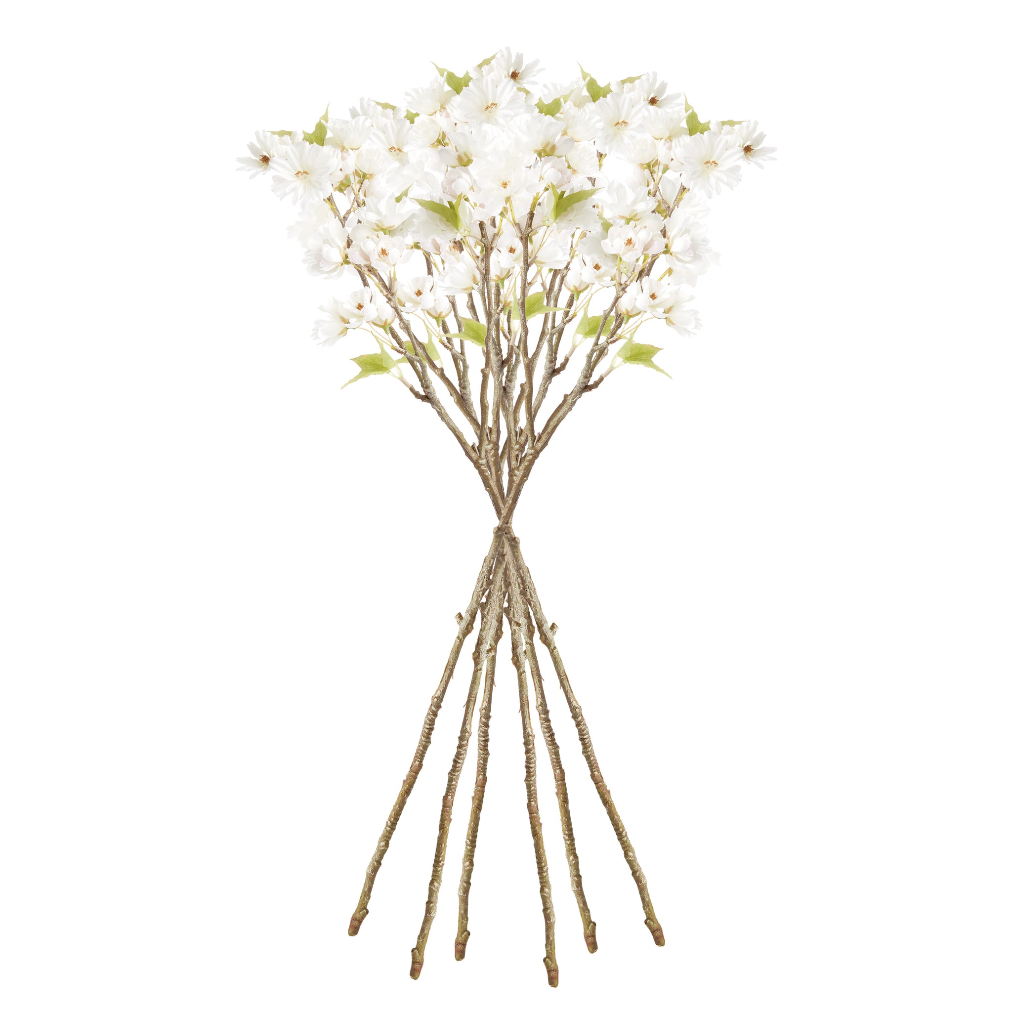 Dual Cherry Blossom Stems - Set of 6