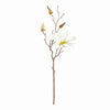 White Star Magnolia Stems, Set of 6