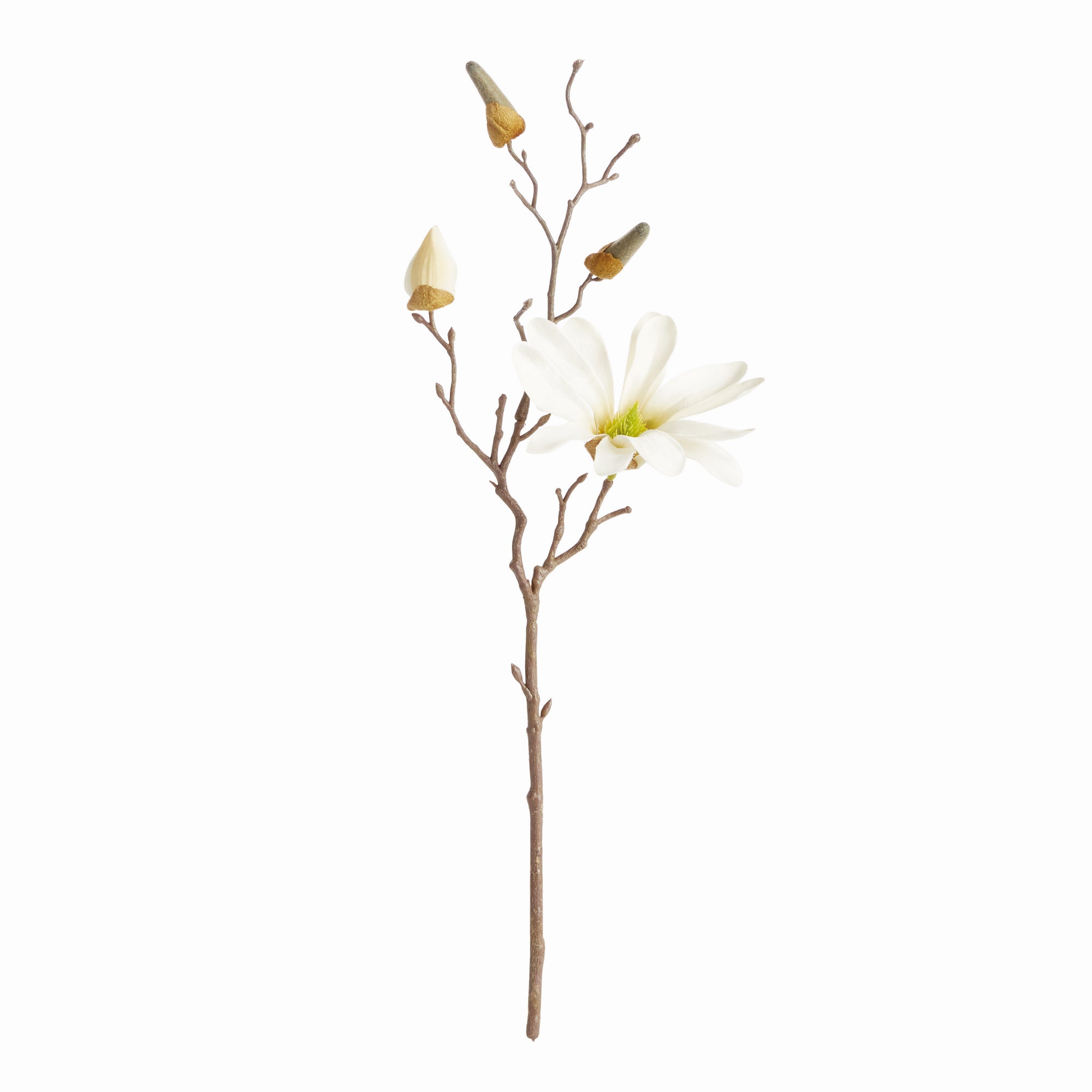 White Star Magnolia Stems, Set of 6