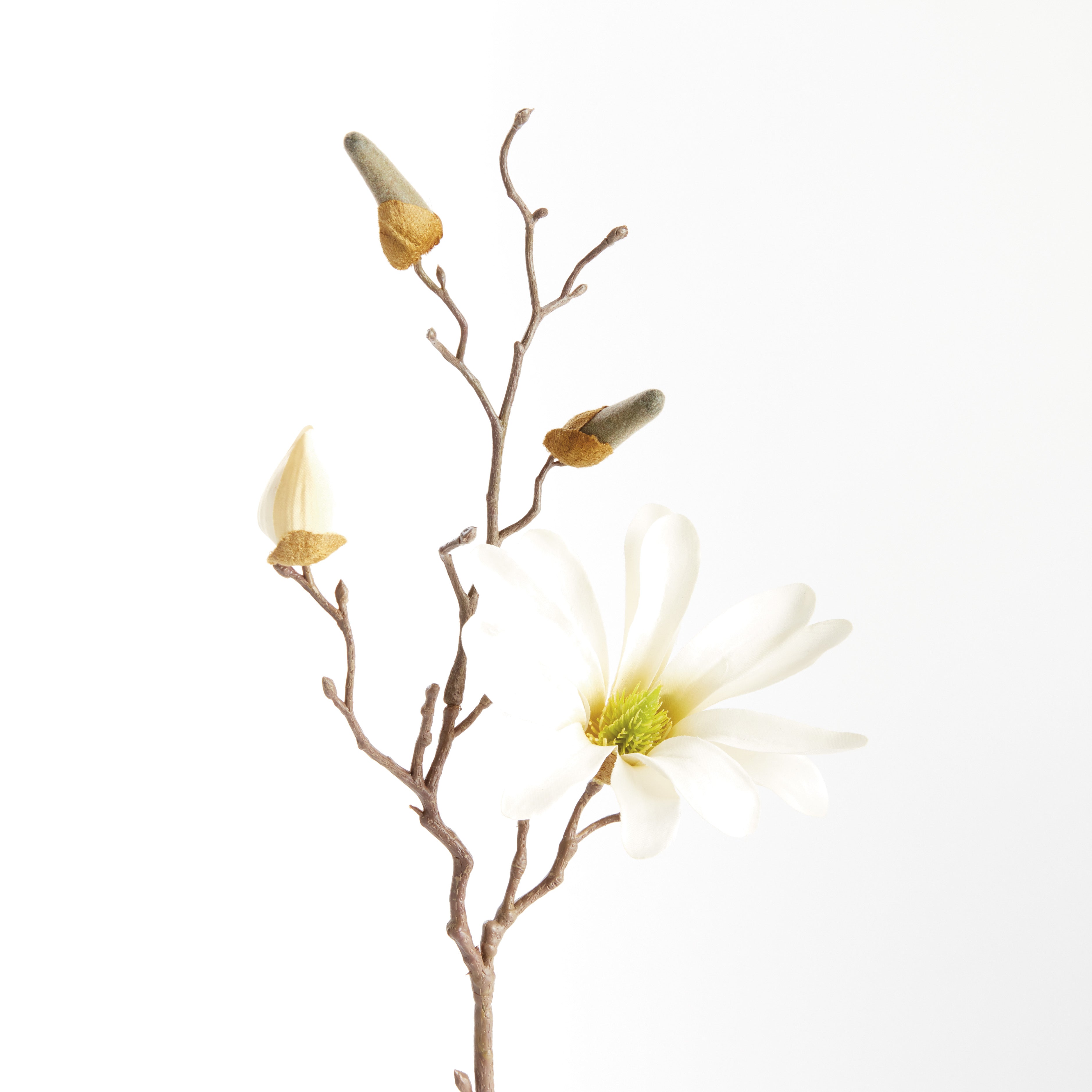 White Star Magnolia Stems, Set of 6