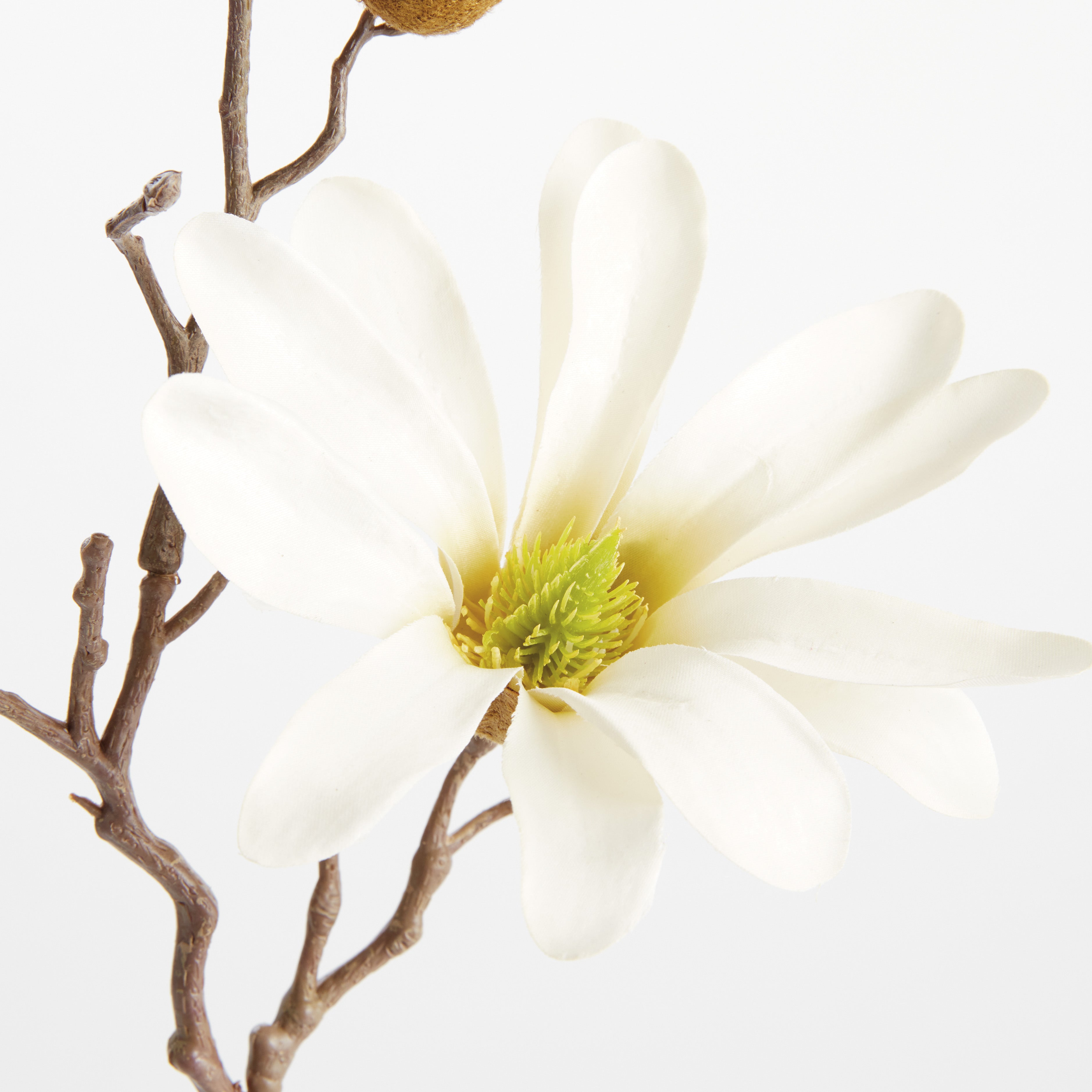 White Star Magnolia Stems, Set of 6