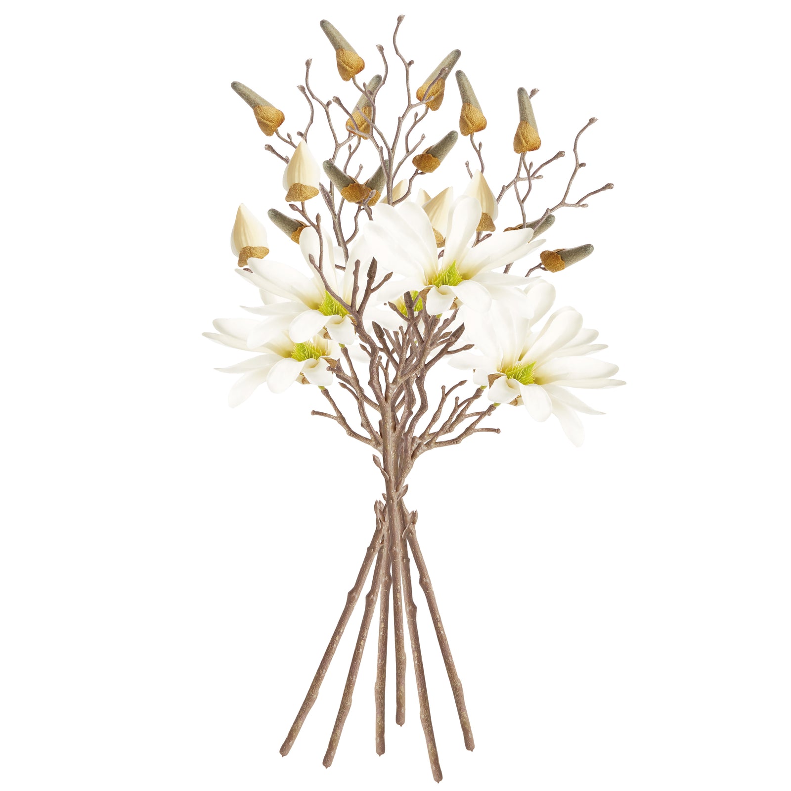 White Star Magnolia Stems, Set of 6