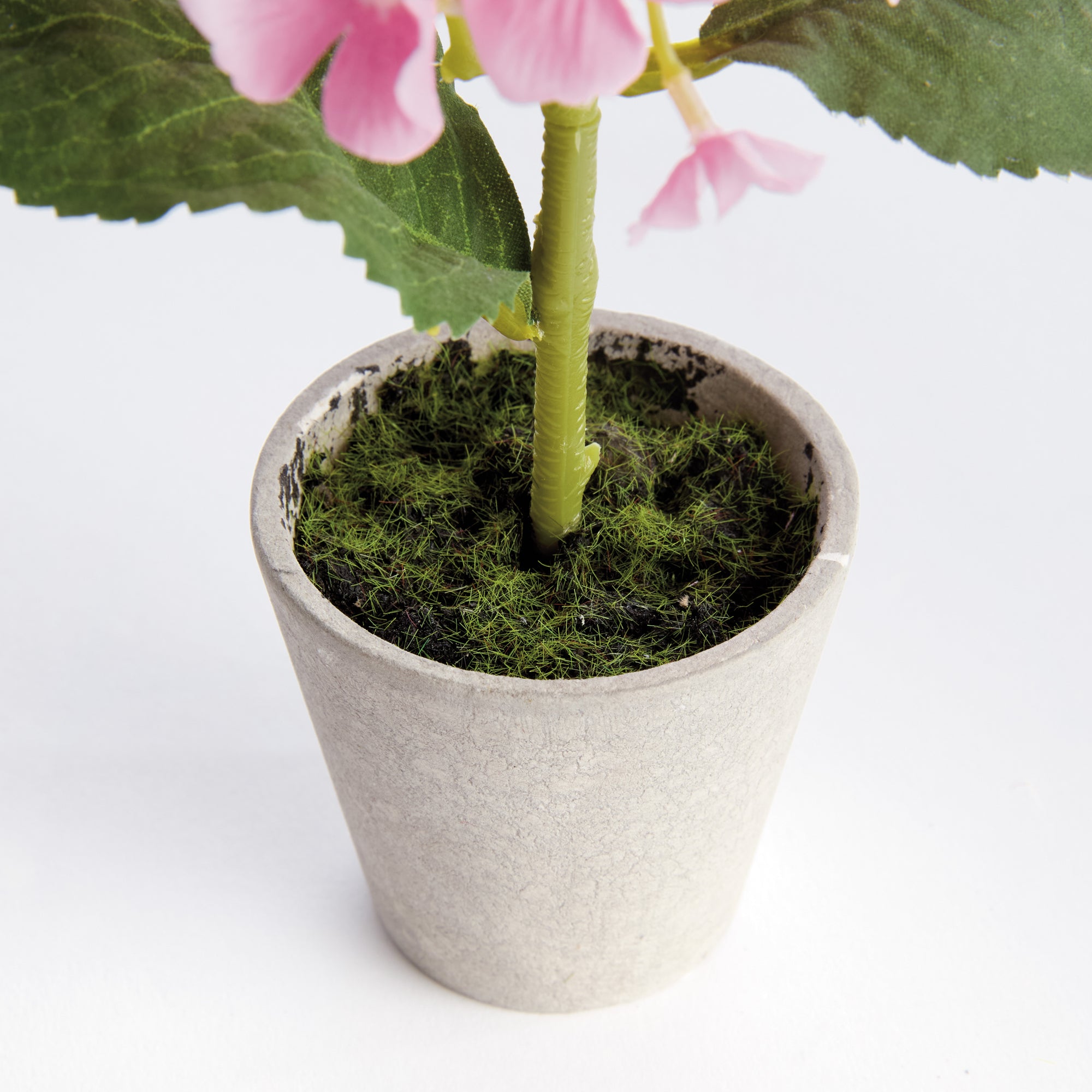 Potted Pink Hydrangea, Set of 4