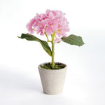 Potted Pink Hydrangea, Set of 4