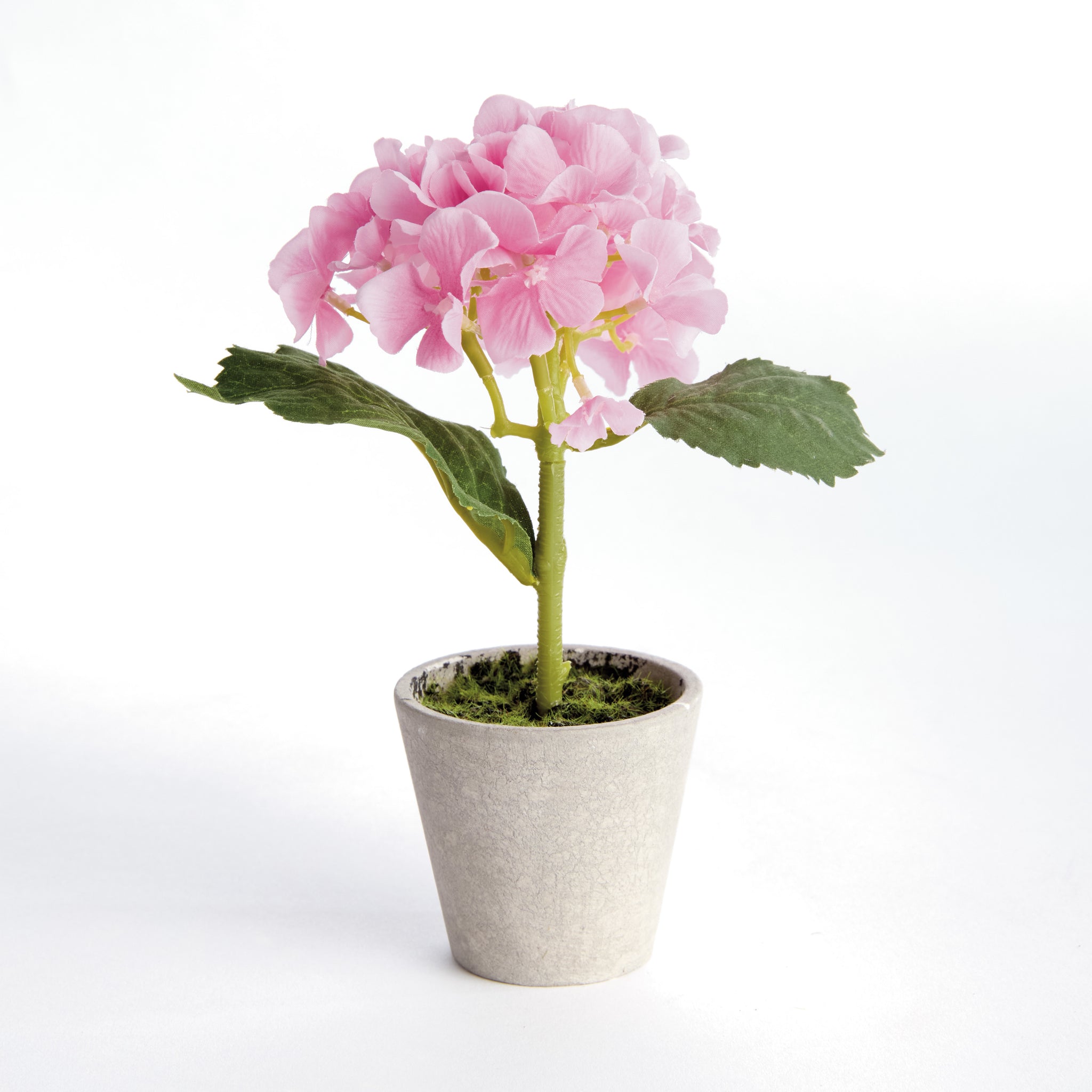 Potted Pink Hydrangea, Set of 4