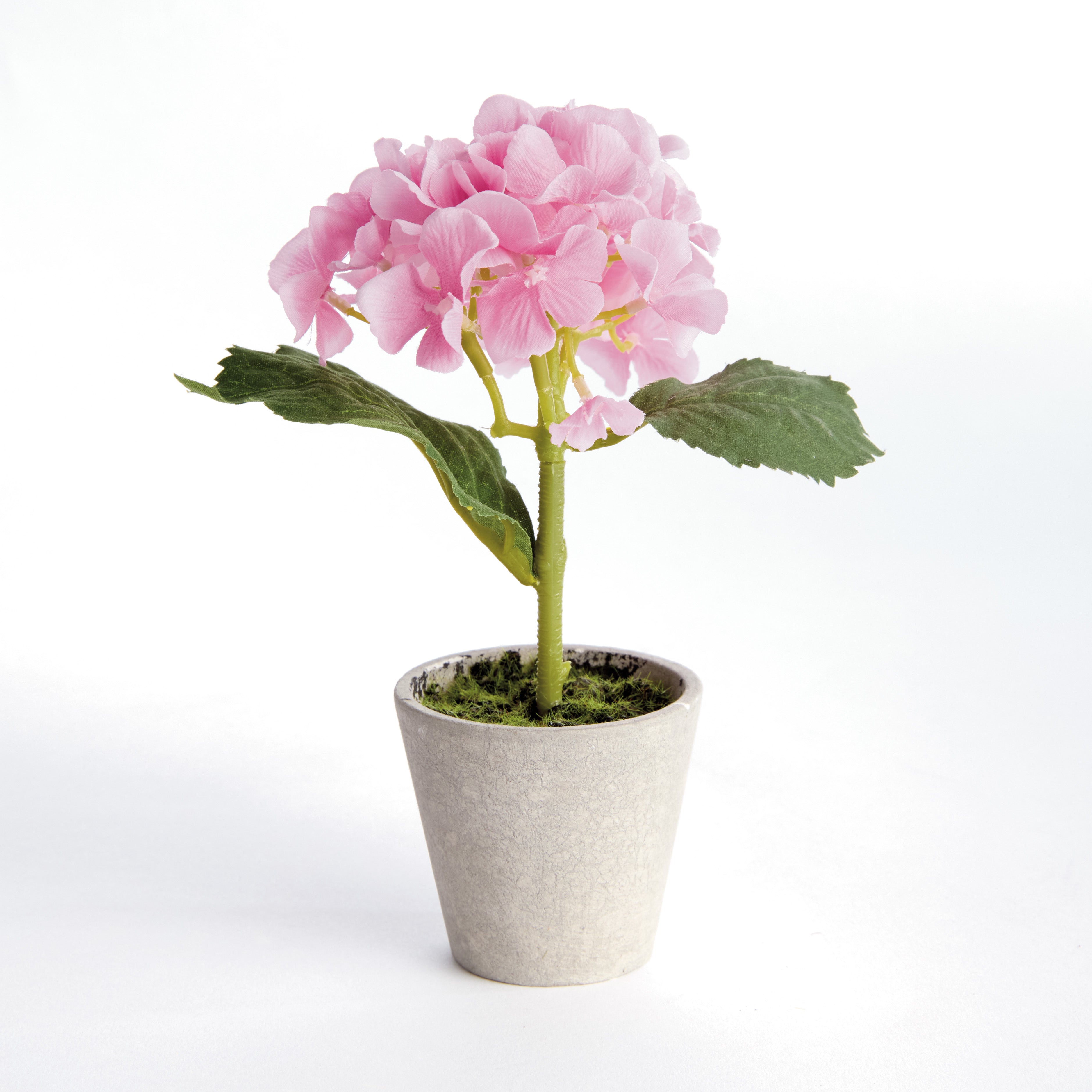 Potted Pink Hydrangea, Set of 4