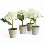 Potted Hydrangea, Set of 4