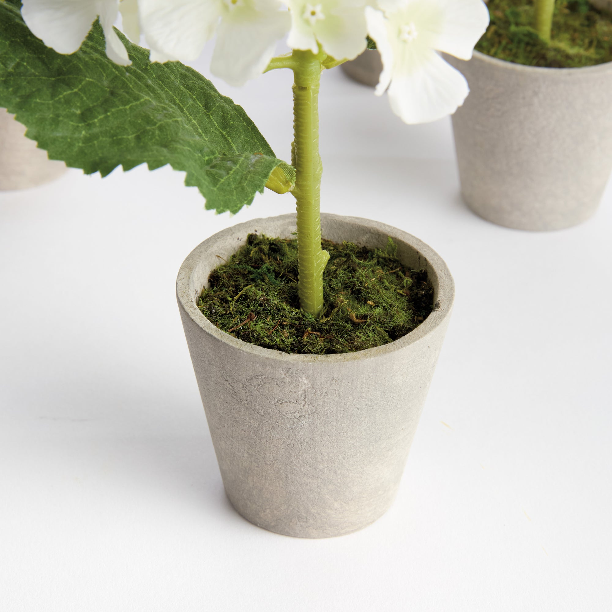 Potted White Hydrangea, Set of 4