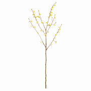 Yellow Forsythia Stems, Set of 6