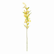 Mimosa Yellow Stems, Set of 6