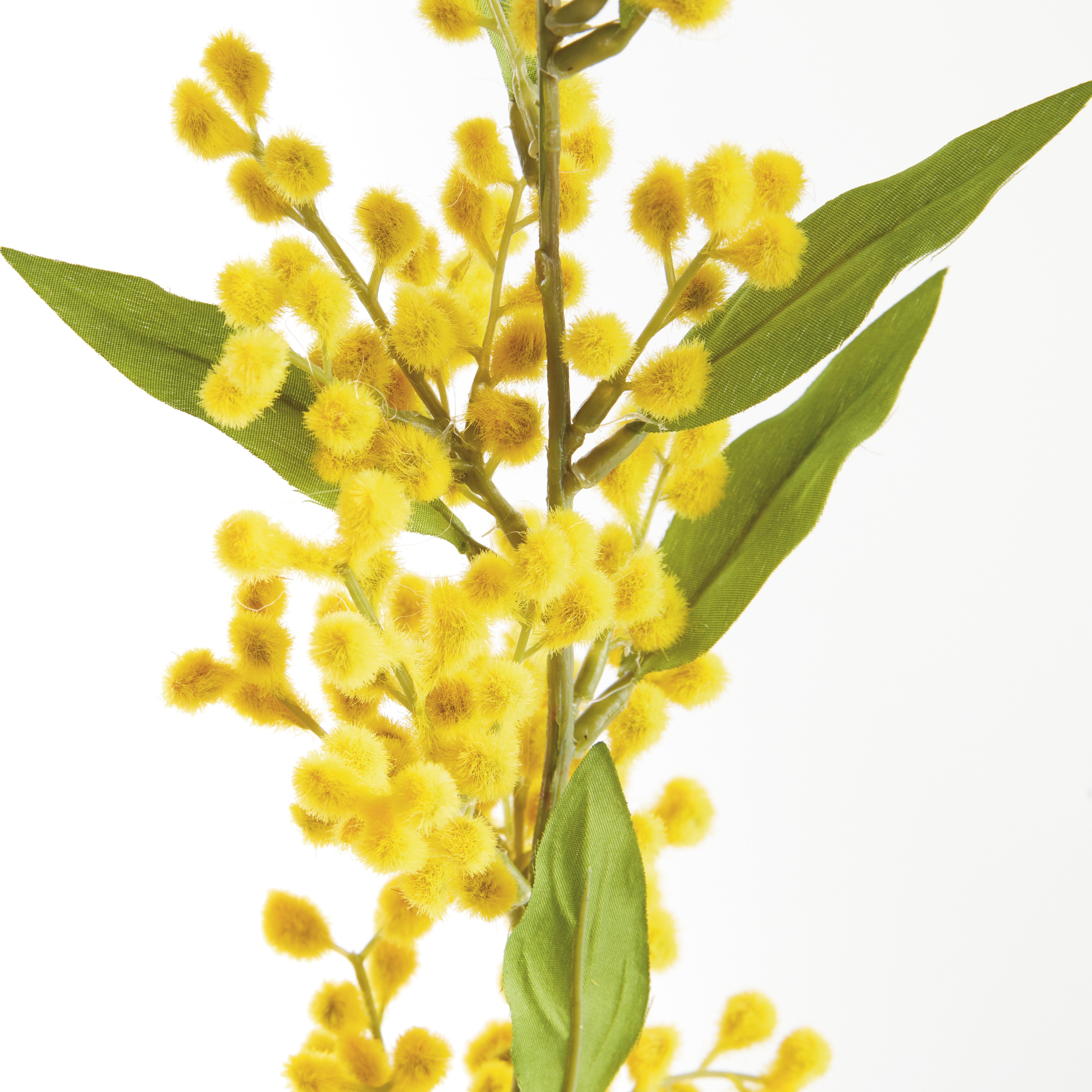 Mimosa Yellow Stems, Set of 6