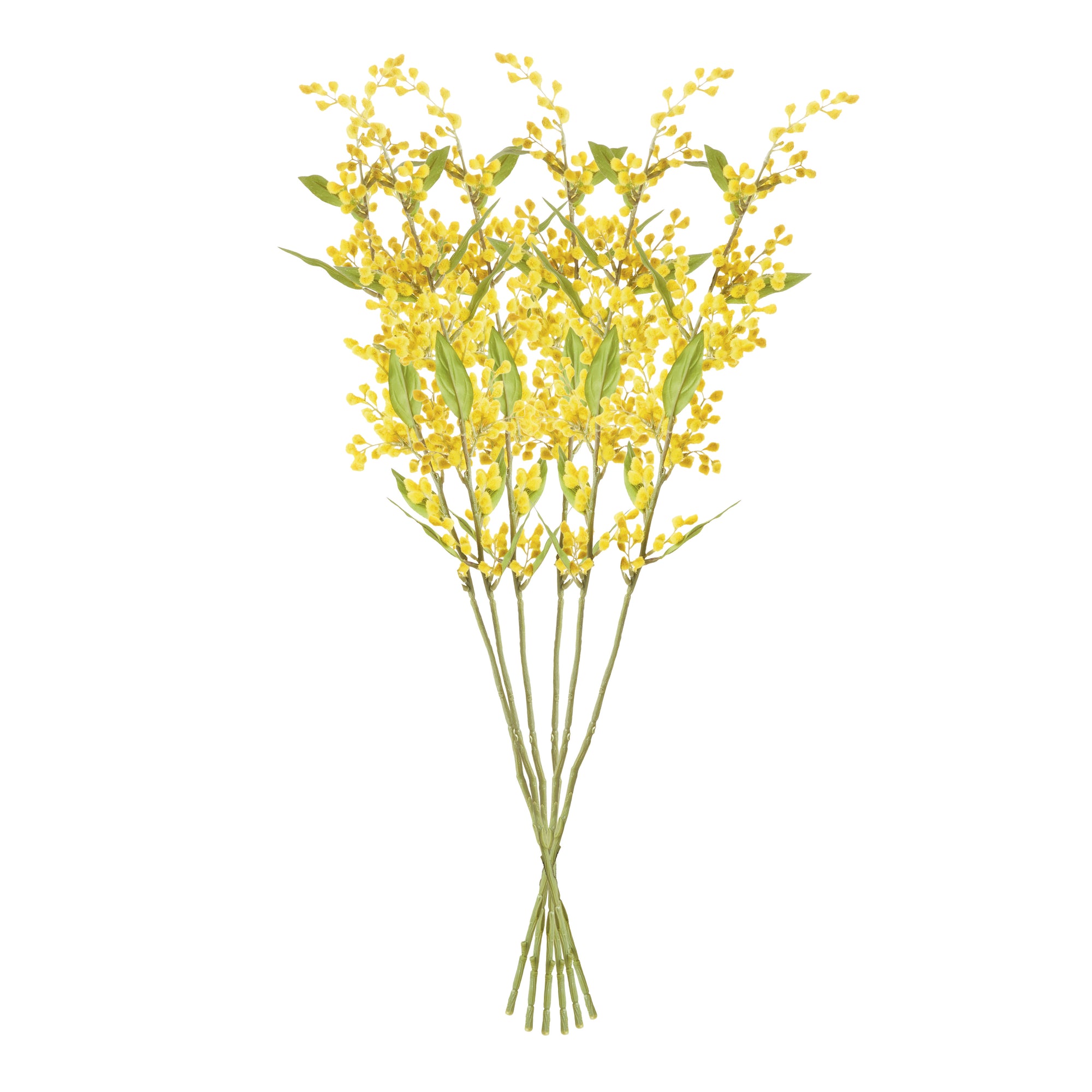Mimosa Yellow Stems, Set of 6