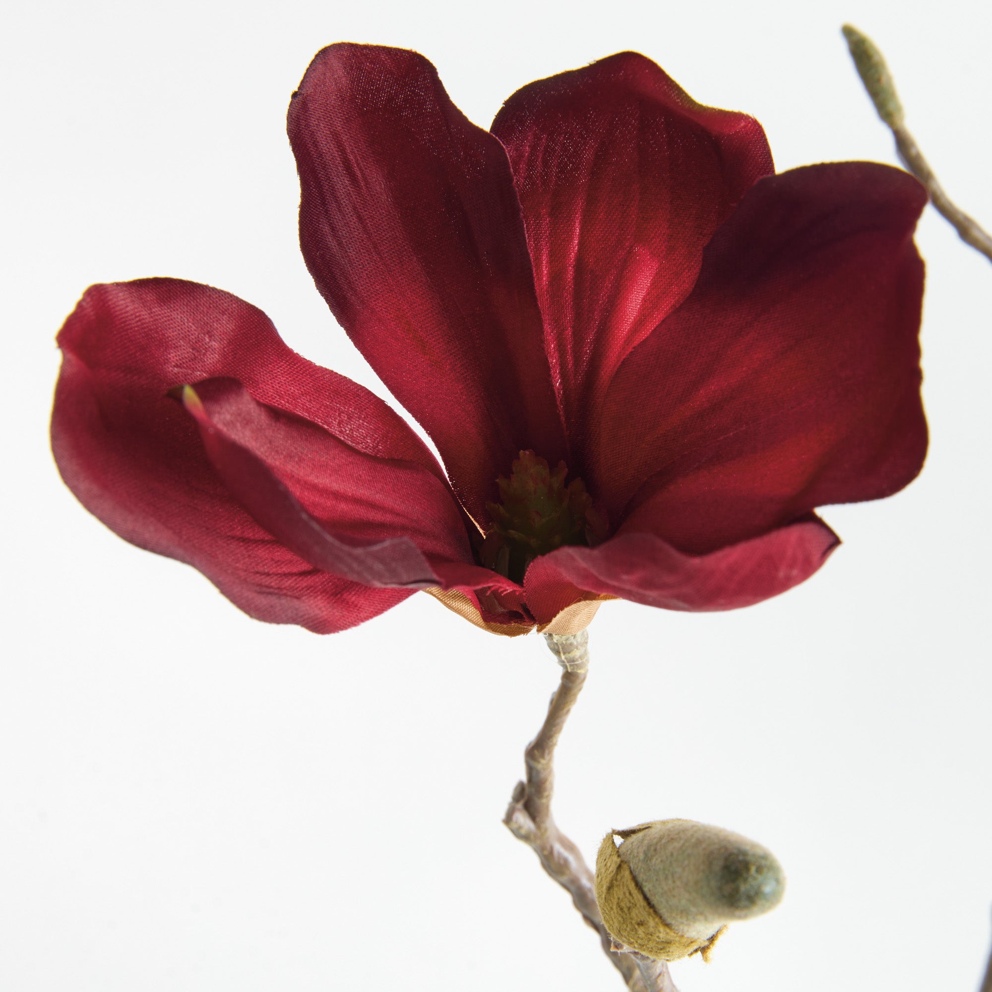 Crimson Magnolia Twigs 27" Set of 4