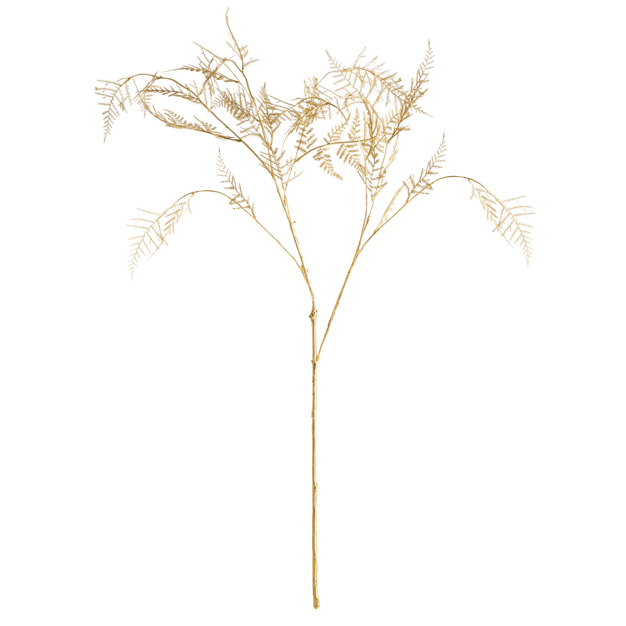 Golden Fern Twigs Set of 4