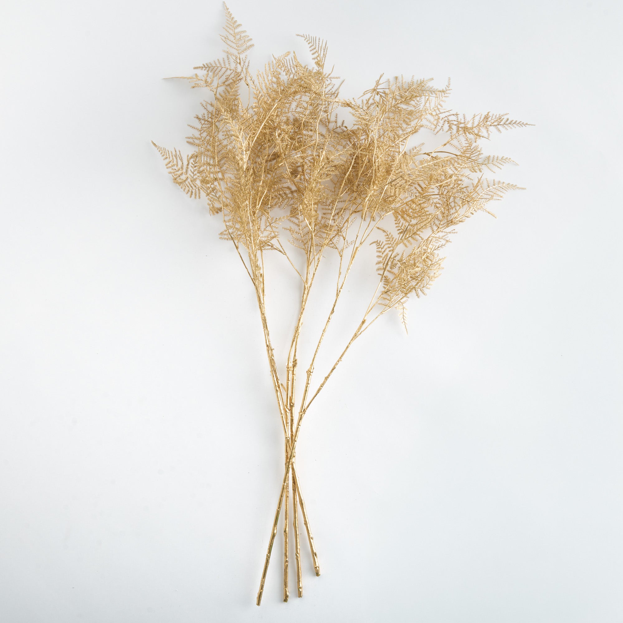 Golden Fern Twigs Set of 4