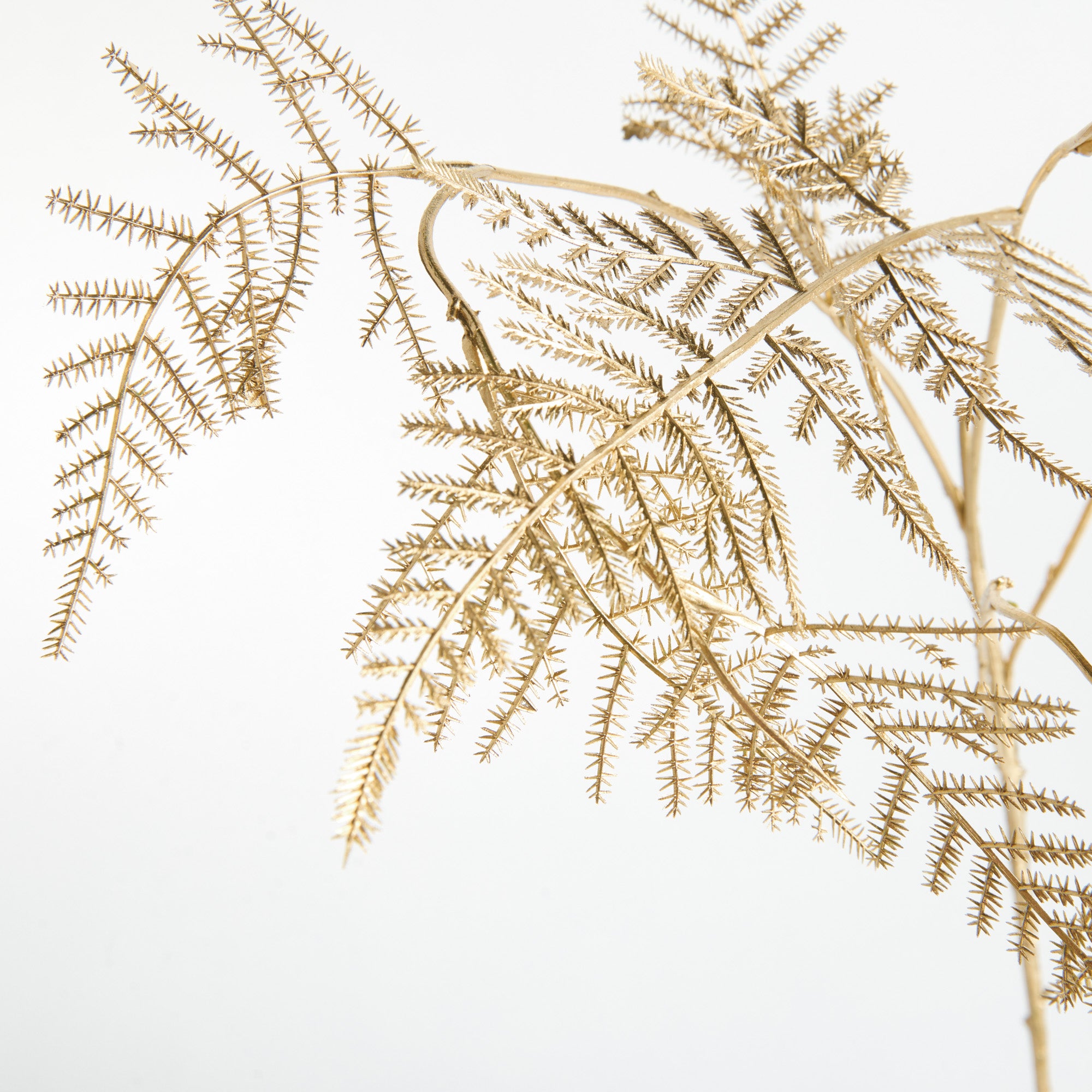 Golden Fern Twigs Set of 4