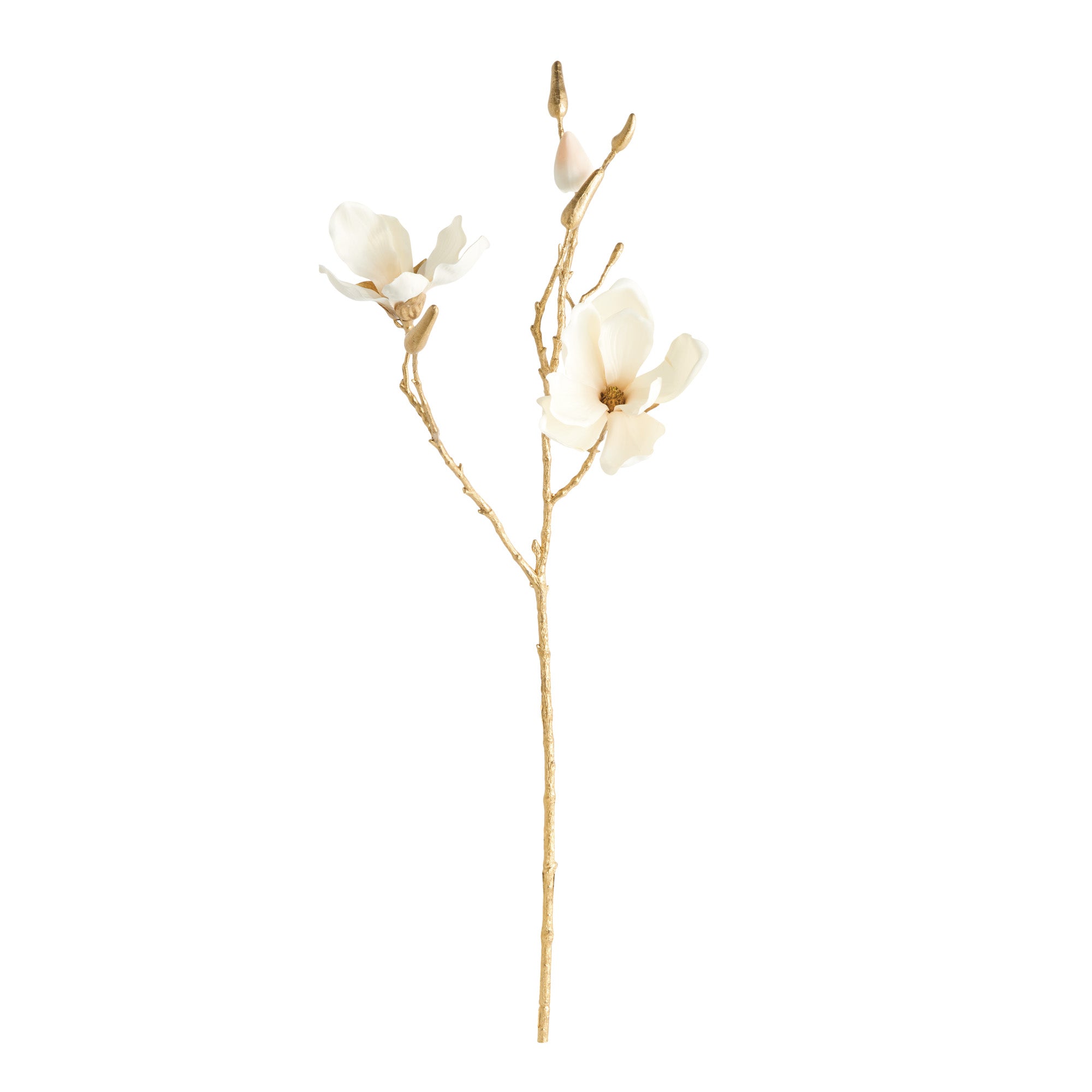Golden Magnolia Twigs Set of 6