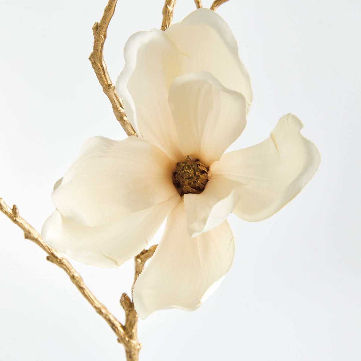 Golden Magnolia Twigs Set of 6