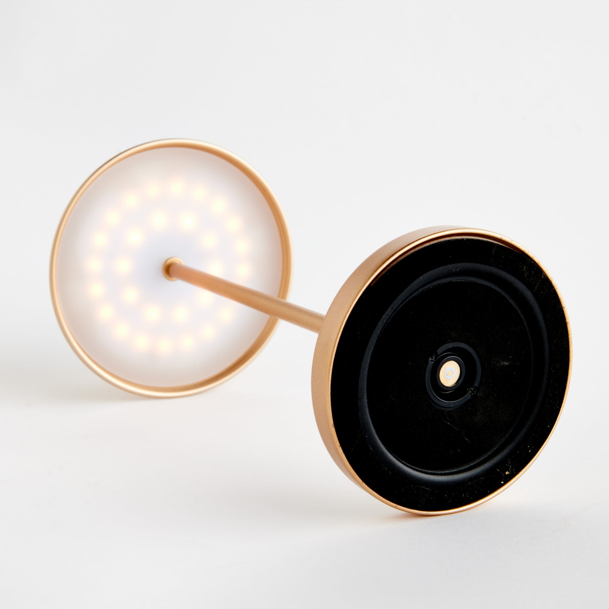 Levi Cordless Led Lamp 14"