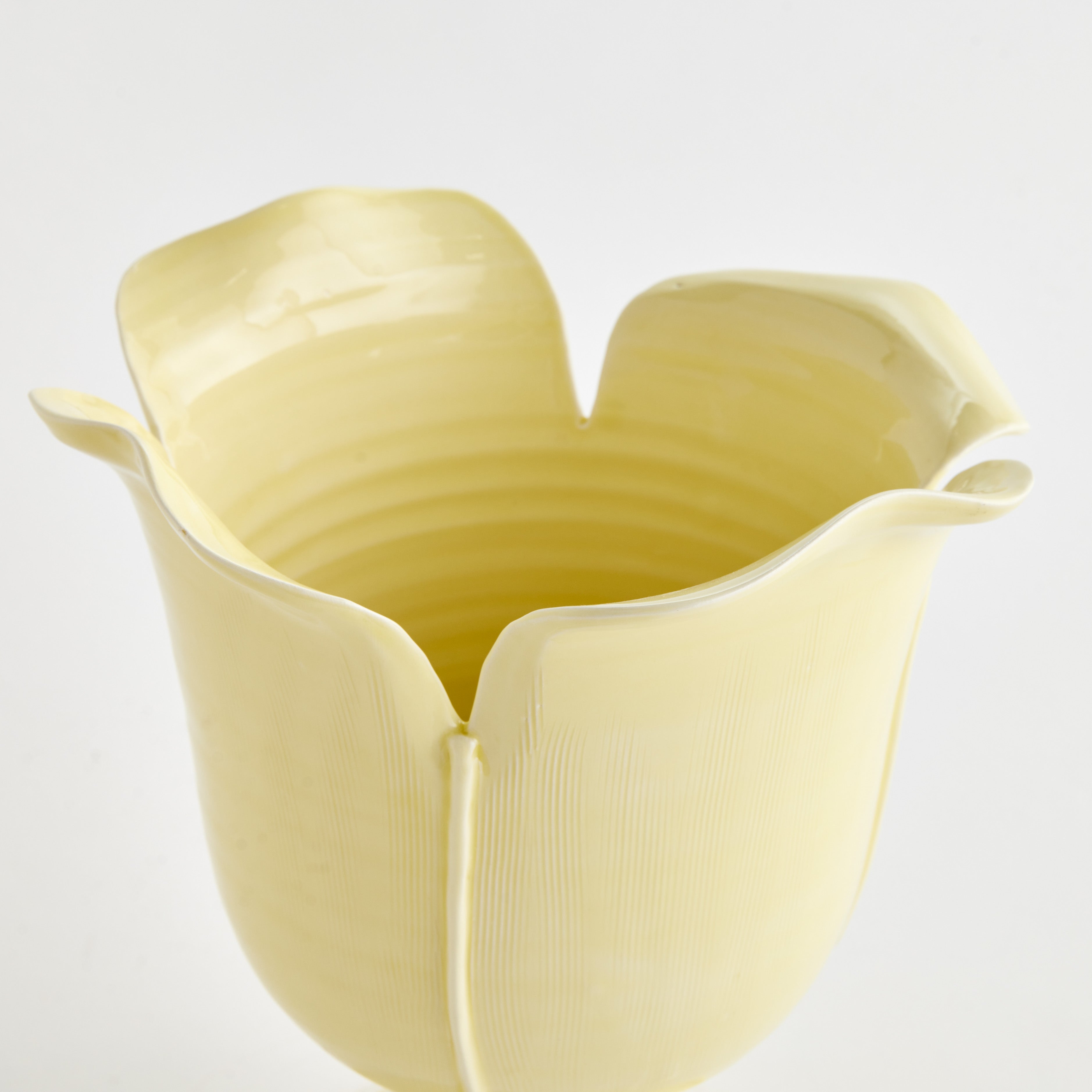 Leo Vase