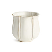 Cardell Pot