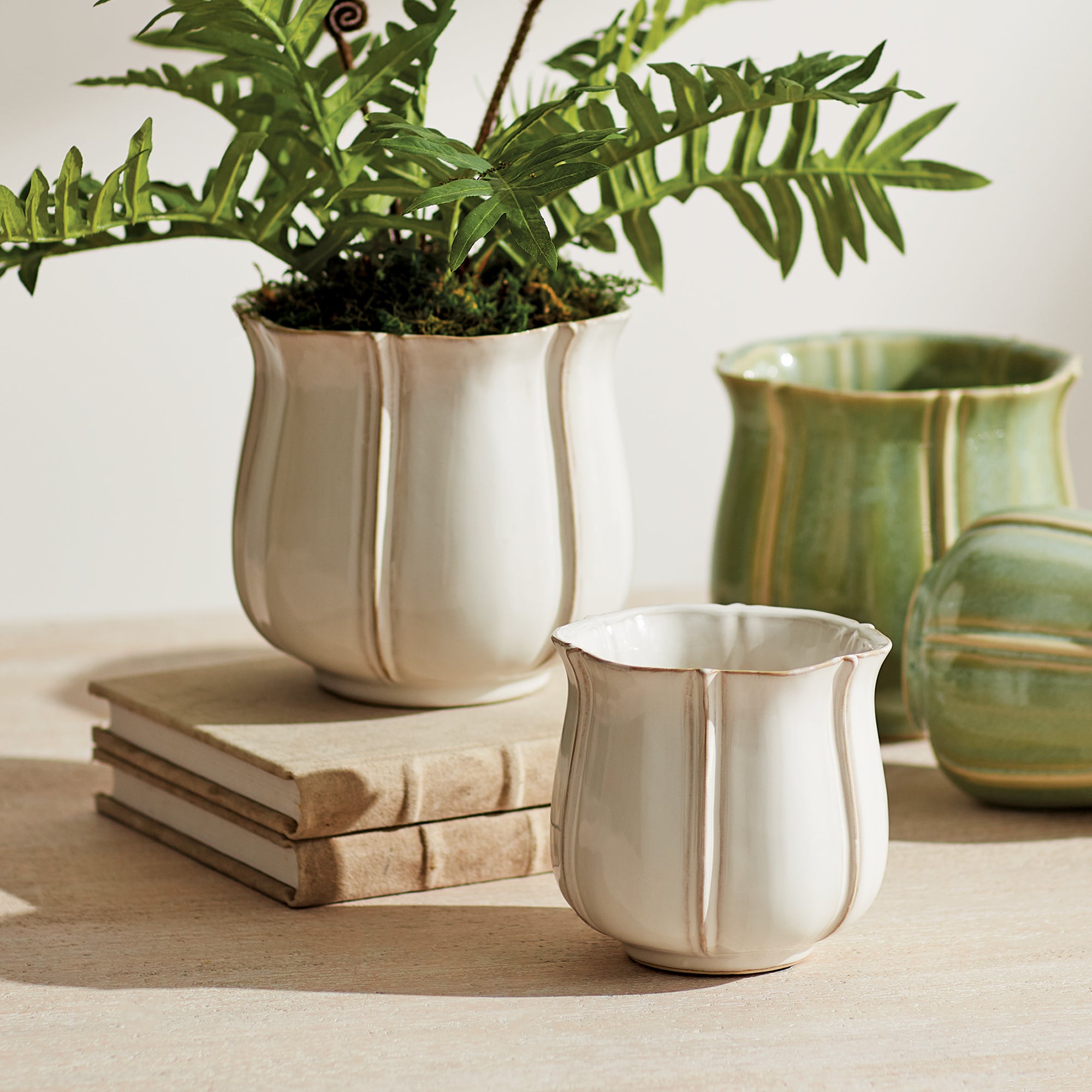 Cardell Pot