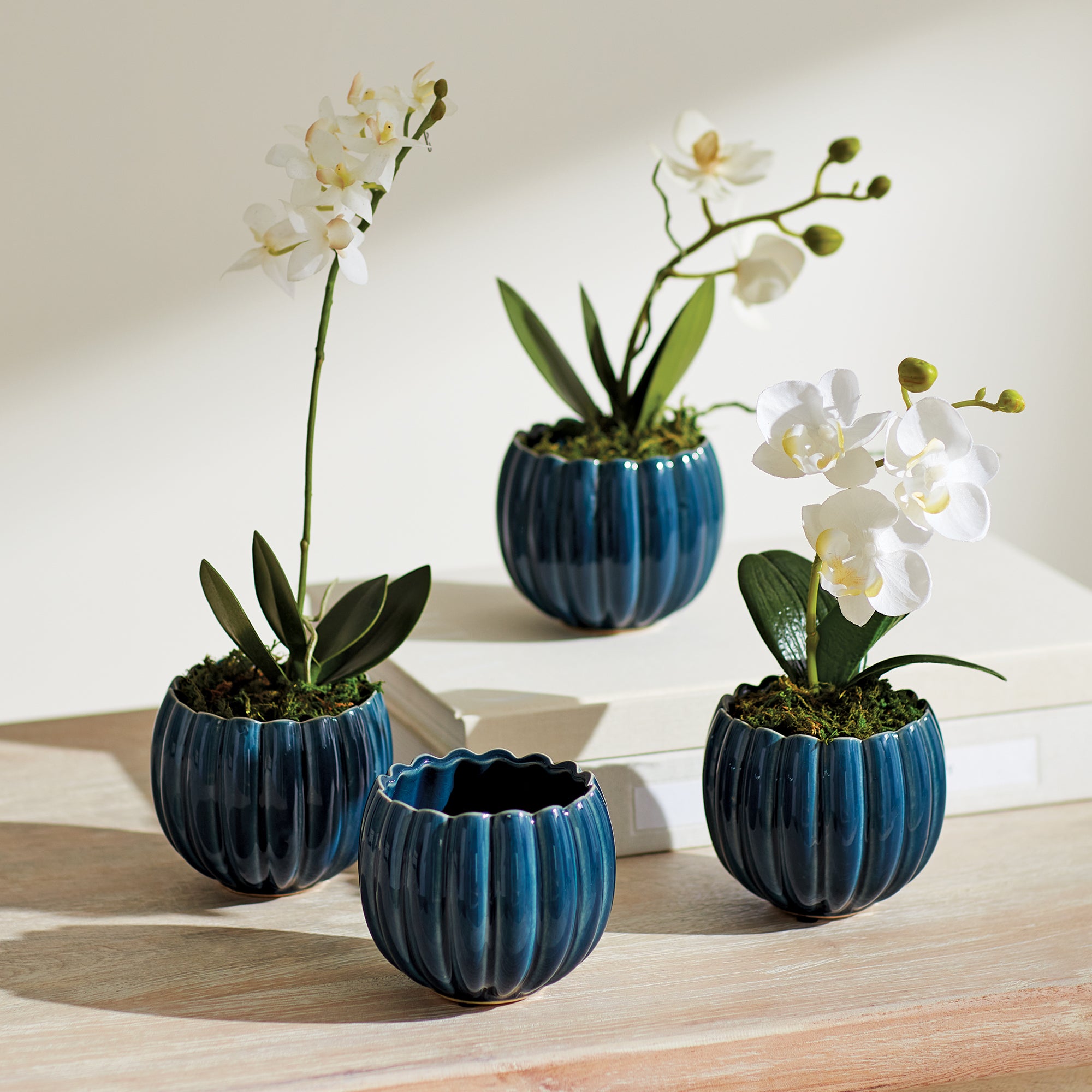 Bryanna Mini Pots Set of 4