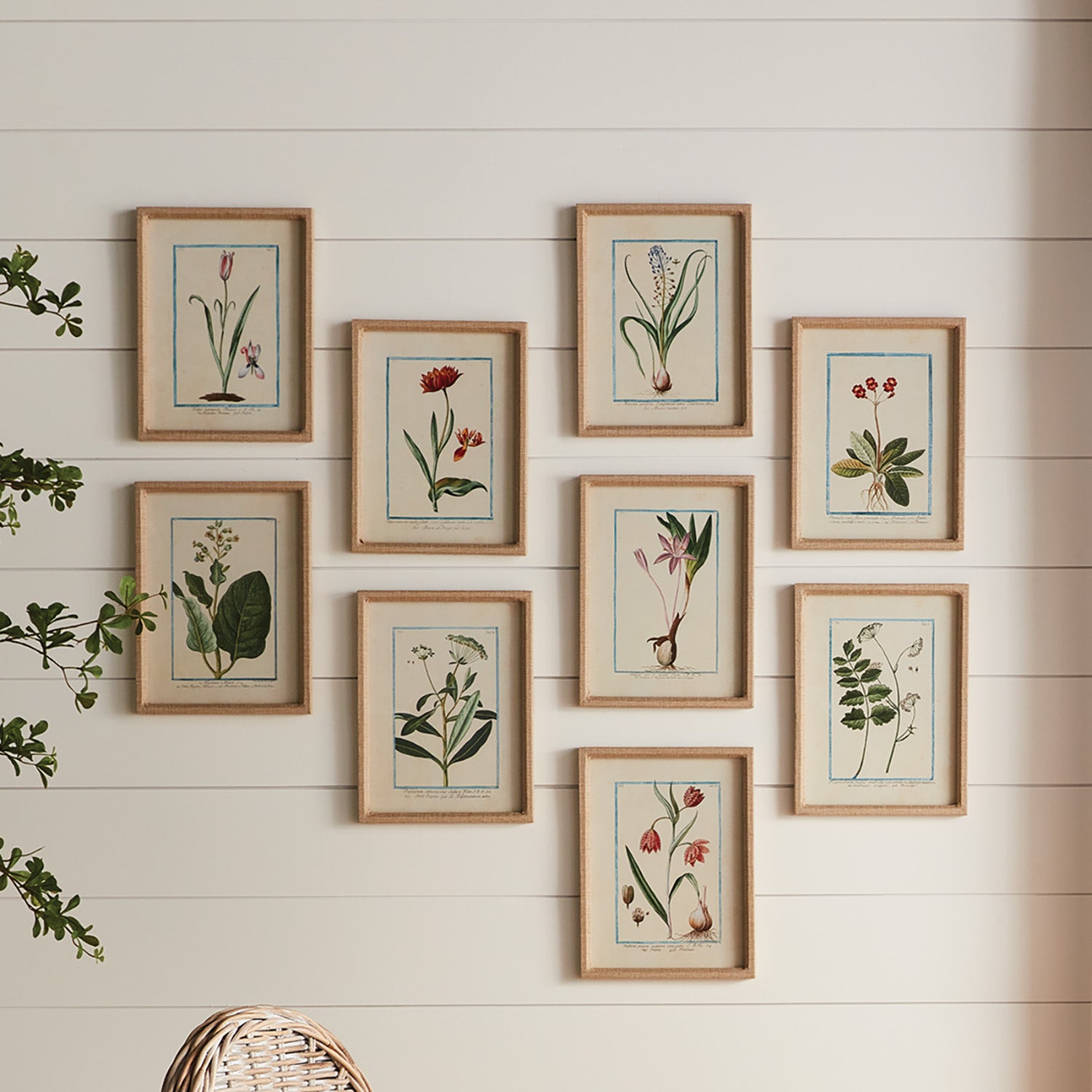Danny Flora & Fauna Study, Set of 9