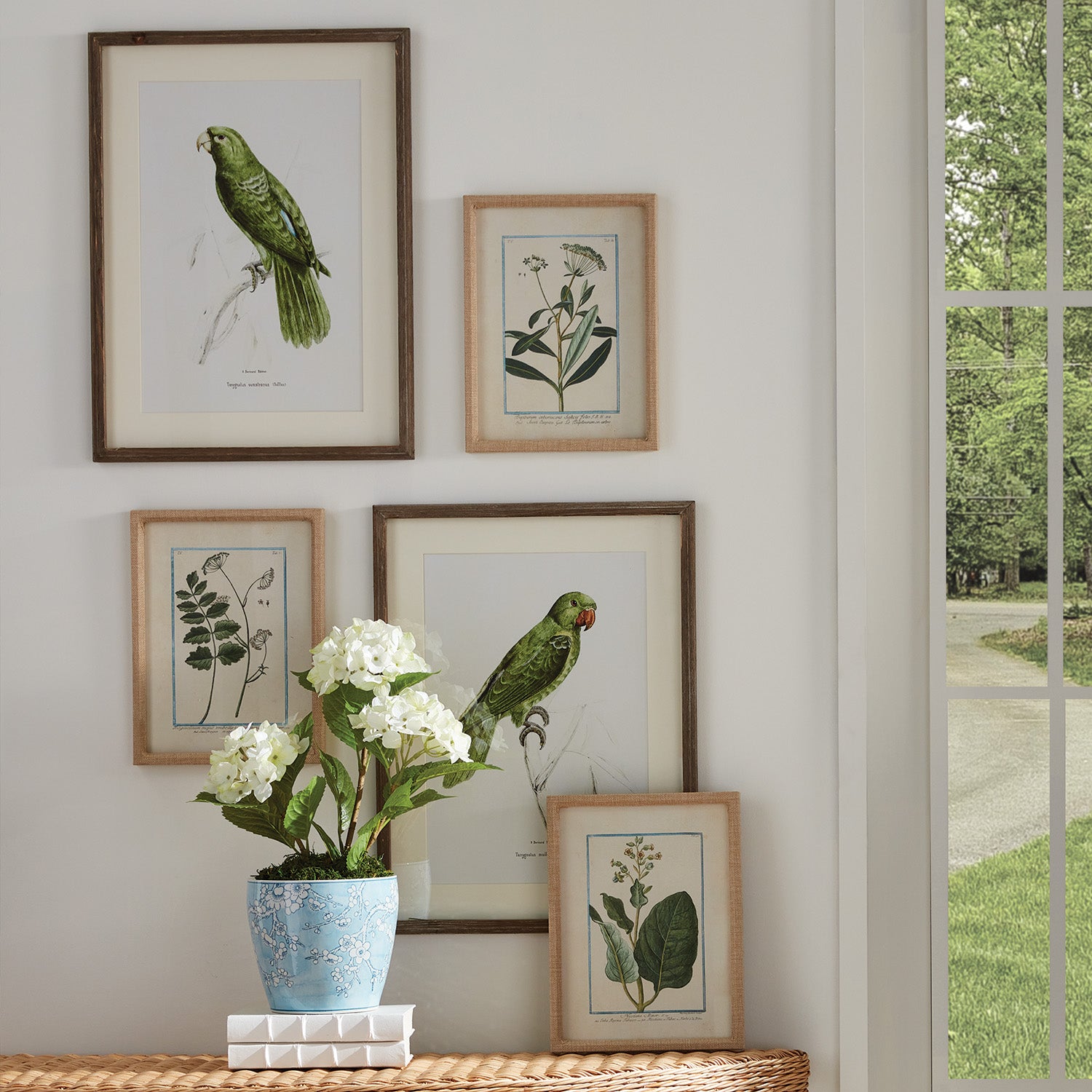 Danny Flora & Fauna Study, Set of 9
