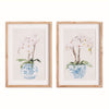 Blue Potted Phalaenopsis Prints, Set of 2