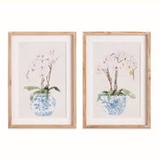 Blue Potted Phalaenopsis Prints, Set of 2
