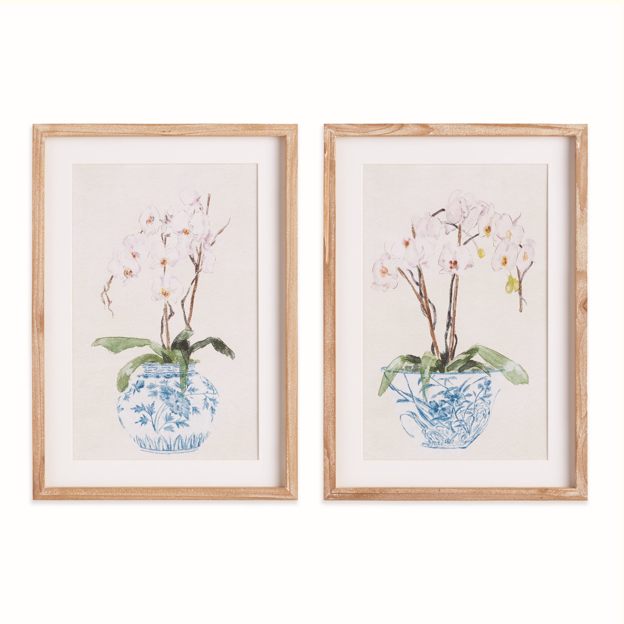 Blue Potted Phalaenopsis Prints, Set of 2
