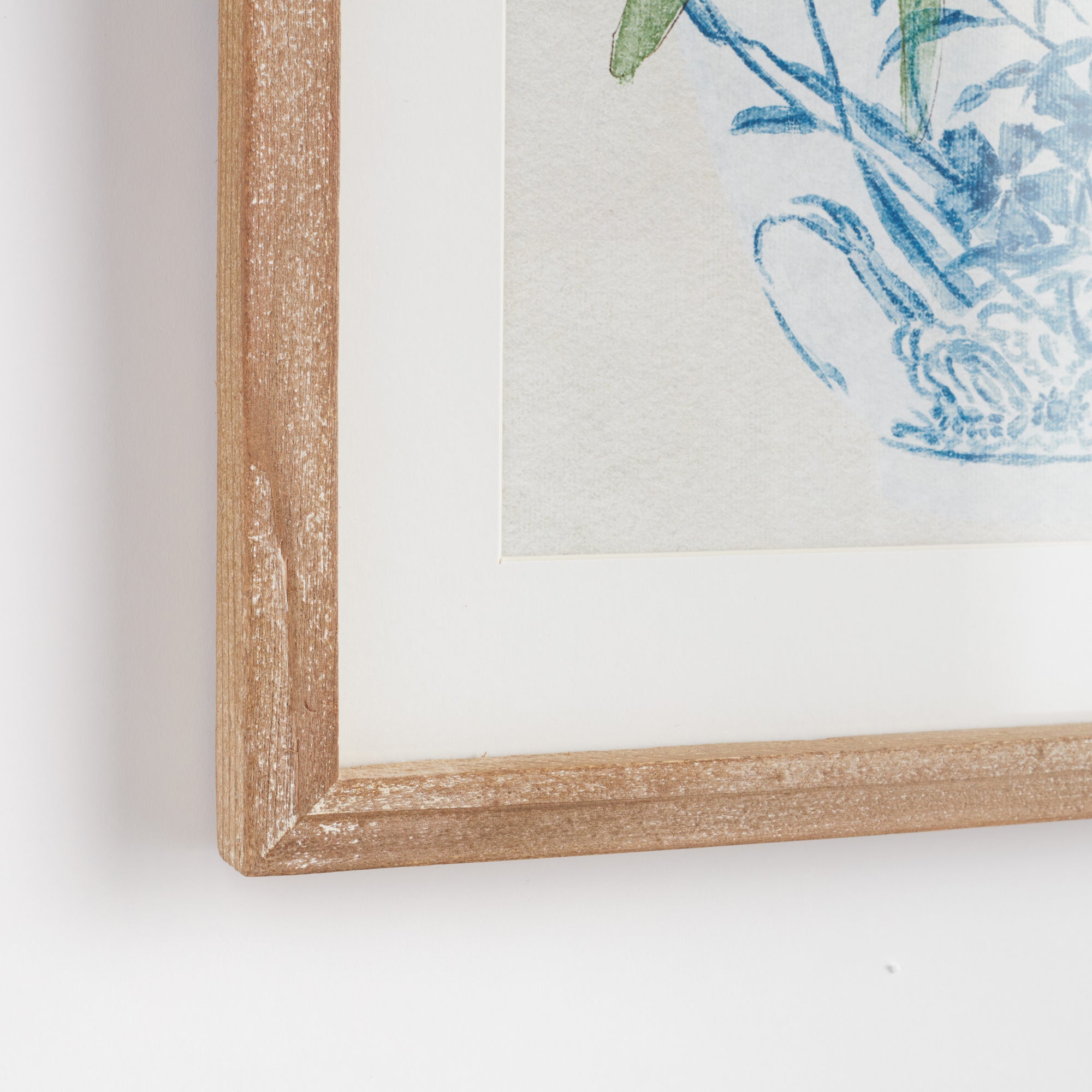 Blue Potted Phalaenopsis Prints, Set of 2