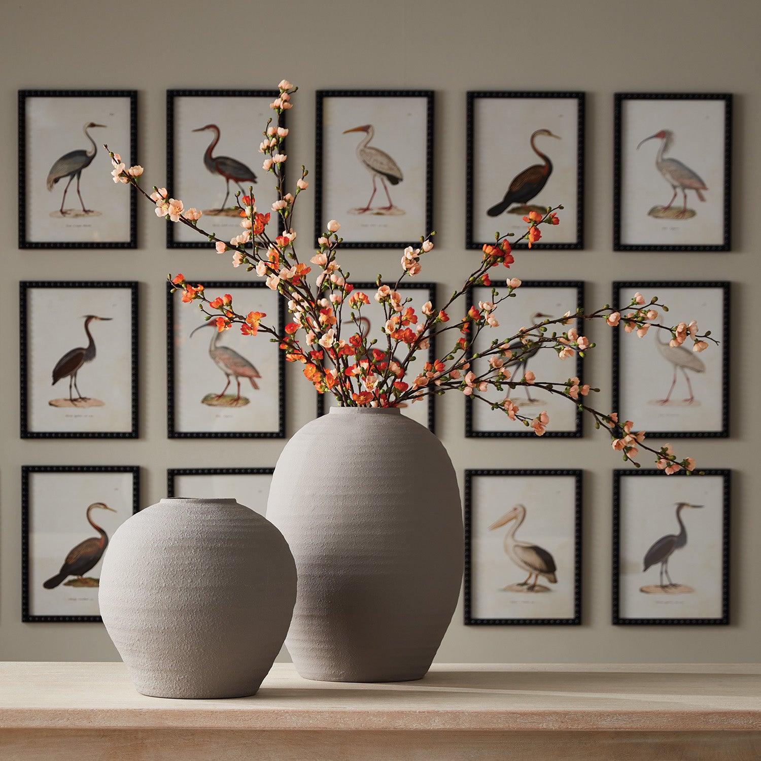 Avian Acquatic Study, Set of 9