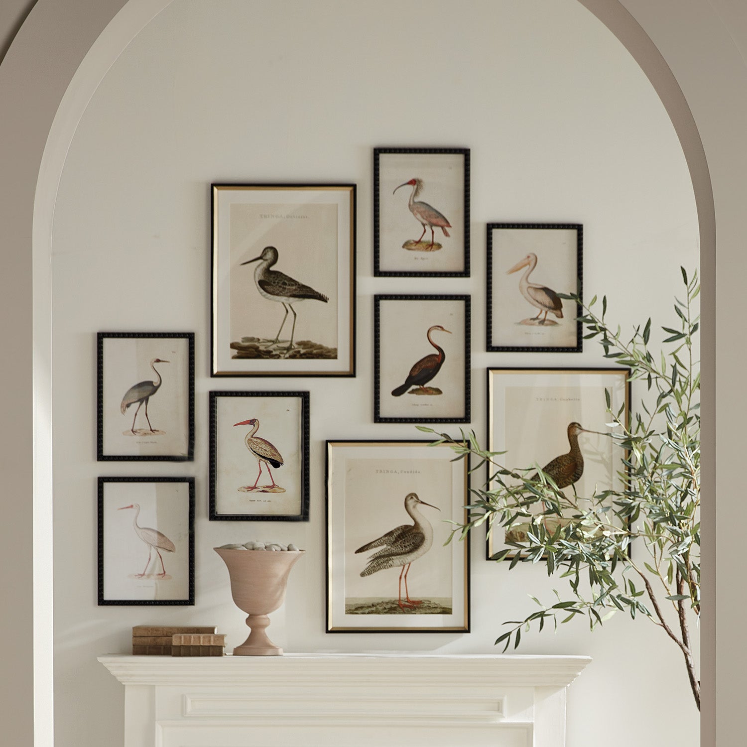 Avian Acquatic Study, Set of 9