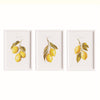Cuttings of Lemon Study, Set of 3