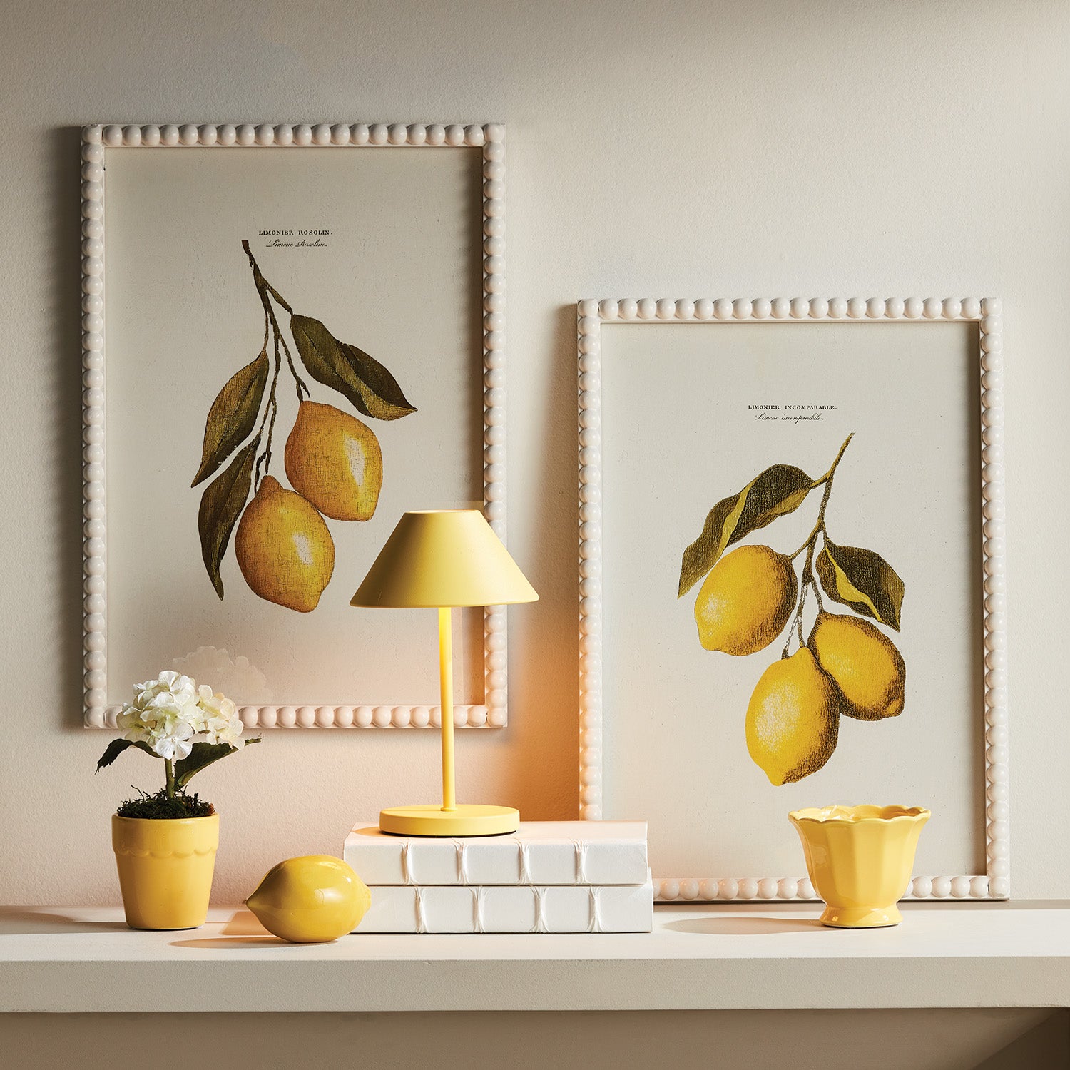 Cuttings of Lemon Study, Set of 3
