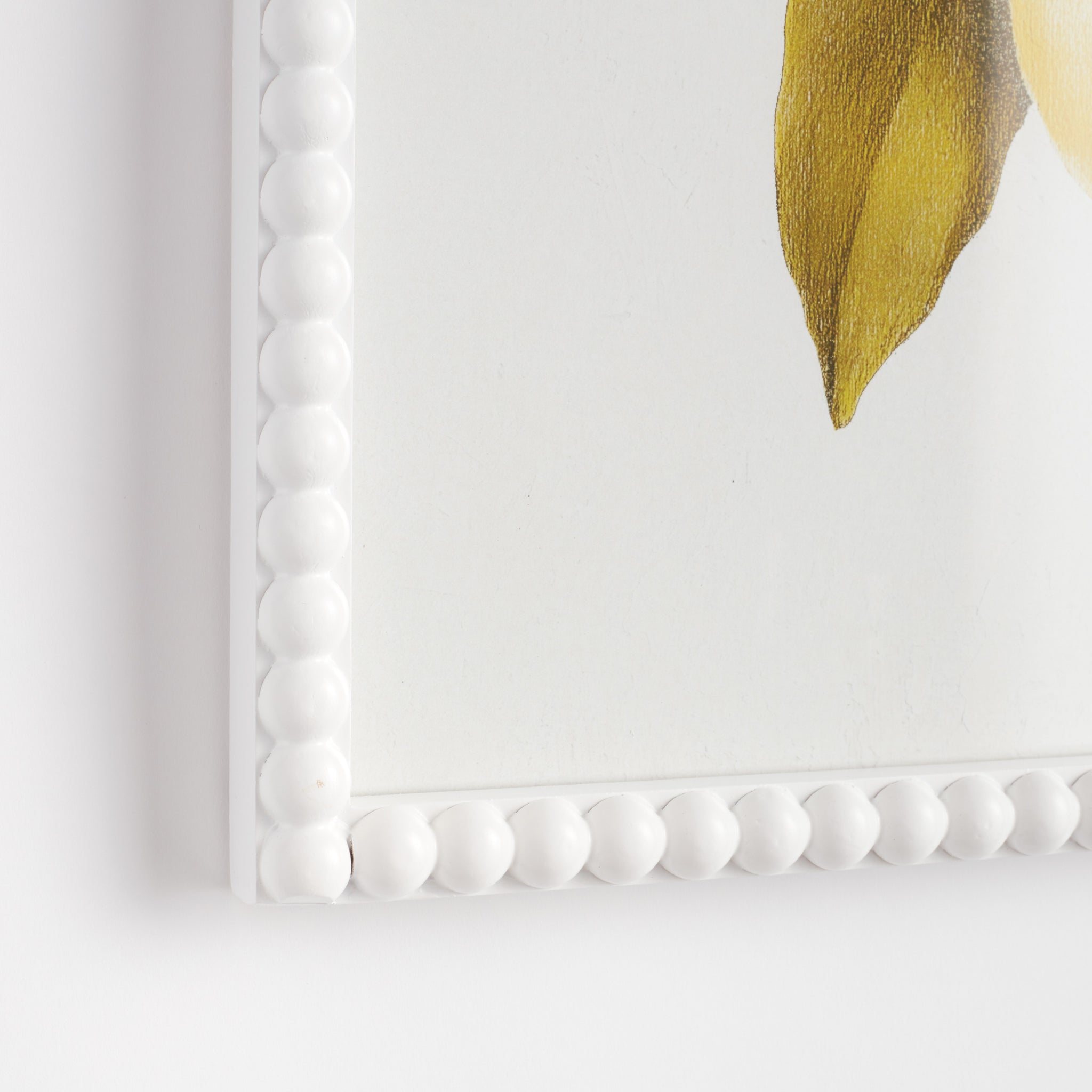 Cuttings of Lemon Study, Set of 3