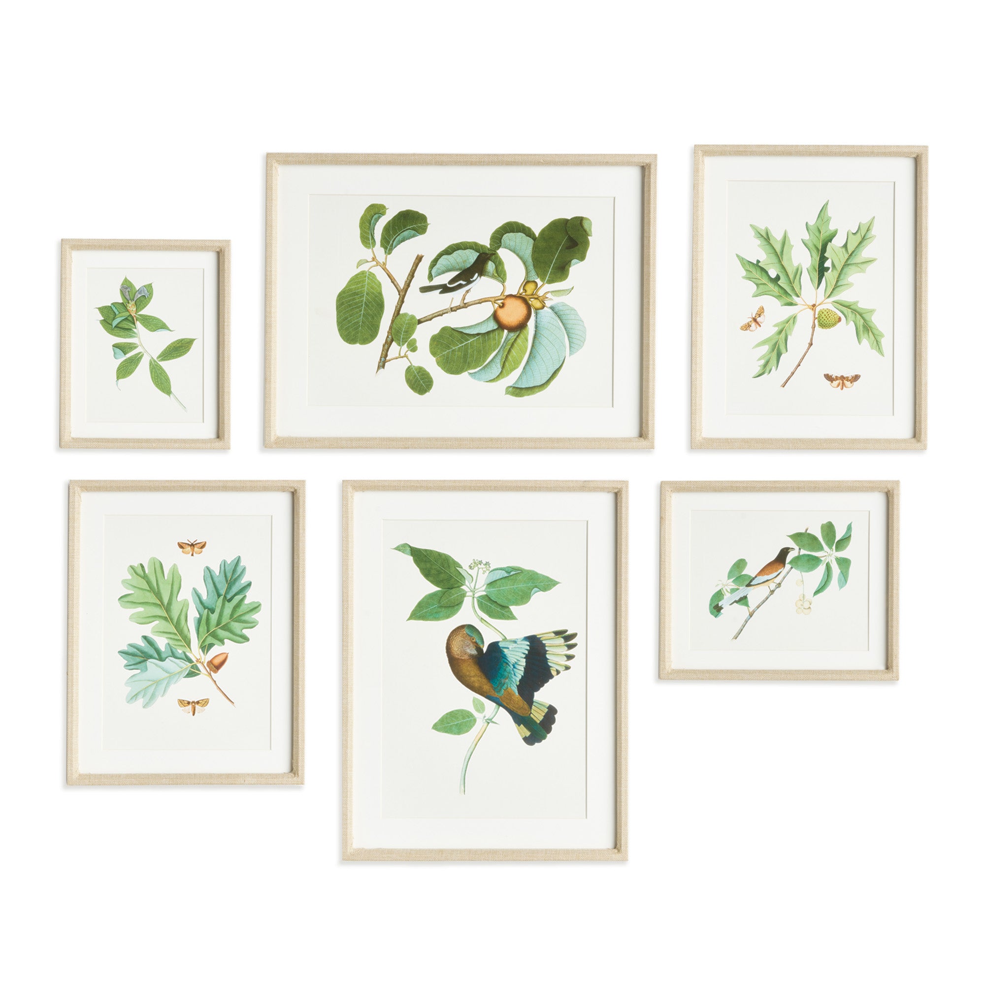 Wildlife Prints Set of 6