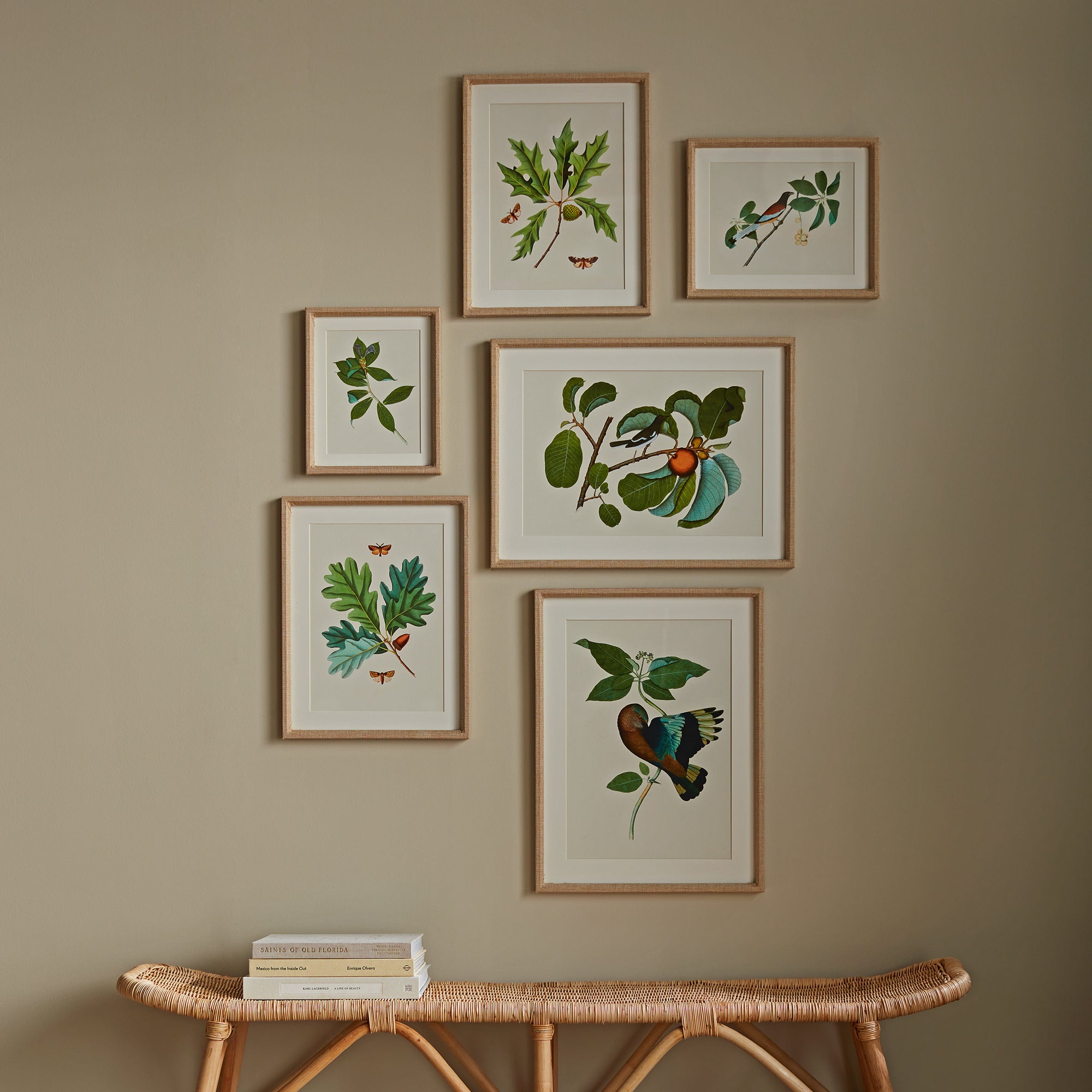 Wildlife Prints Set of 6