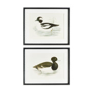 Duck Prints Set of 2